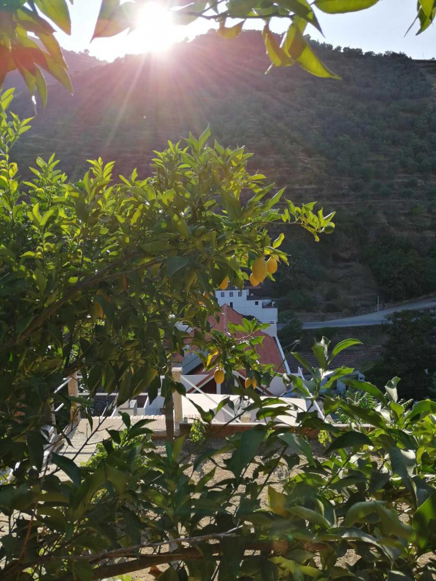 Gift card for Hostel Douro Backpackers