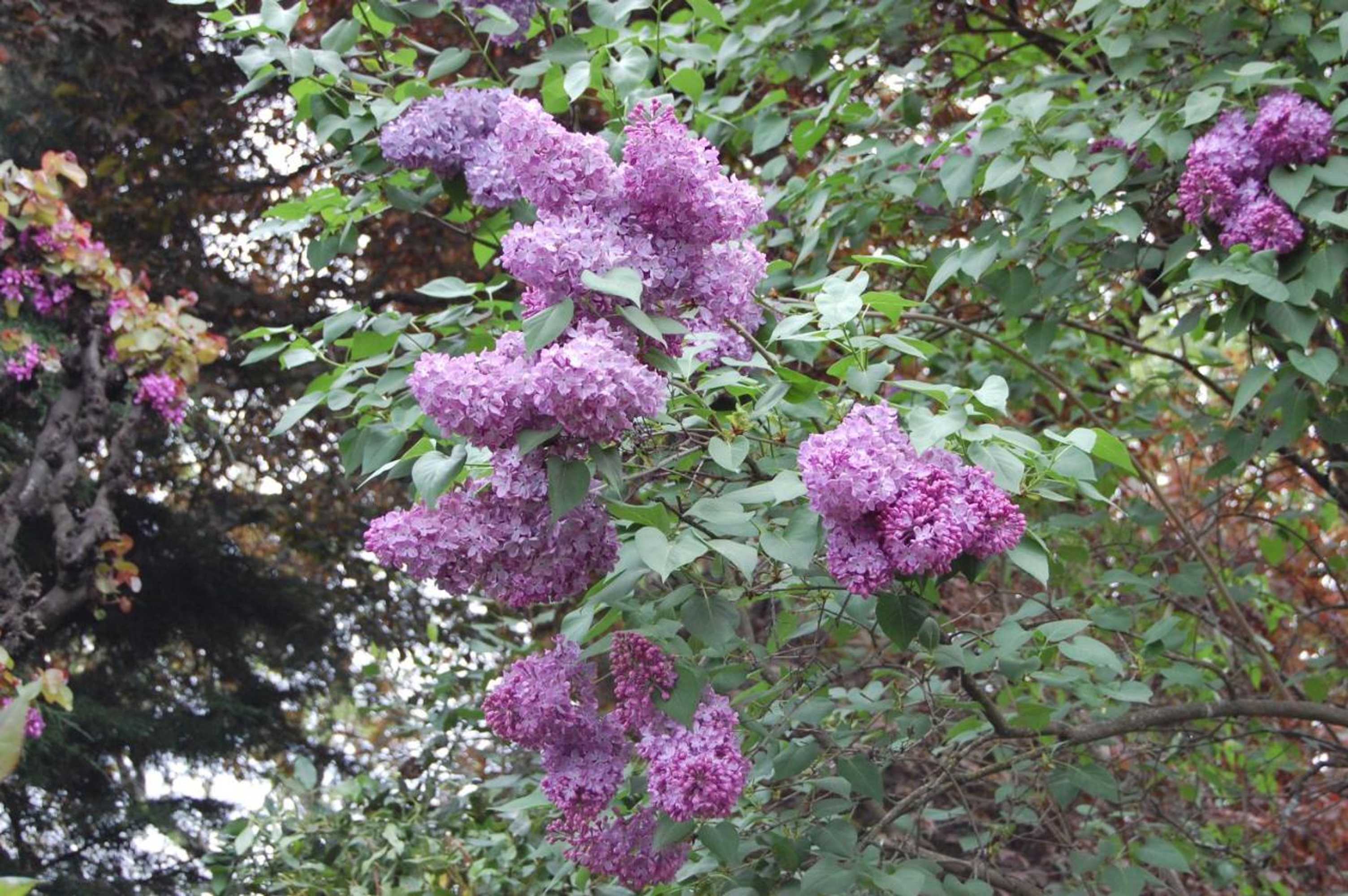 Gift card for Casa da Quinta De S. Martinho Gift card for Casa da Quinta De S. Martinho