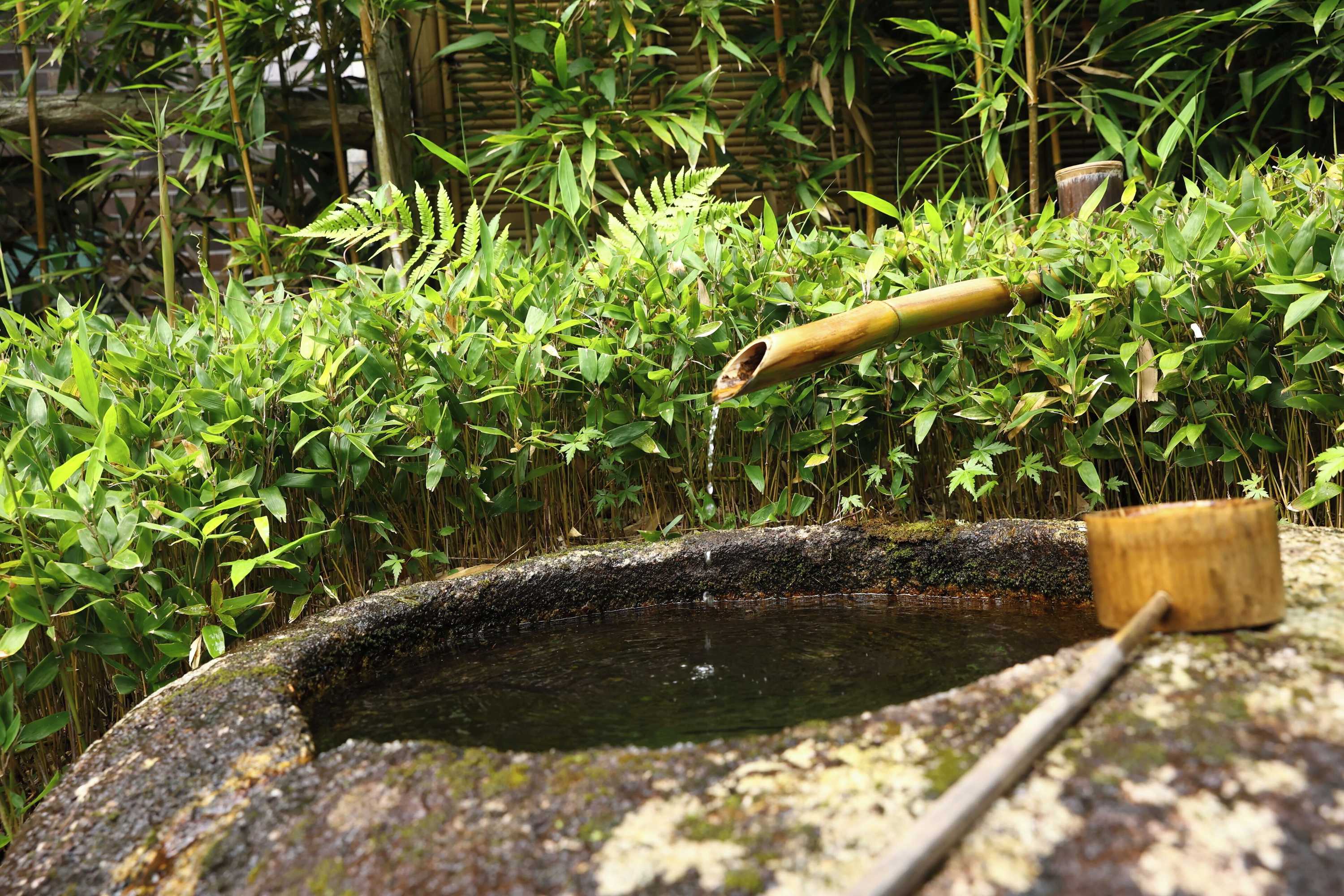 Gift card for Oku Yugawara Sansuirou