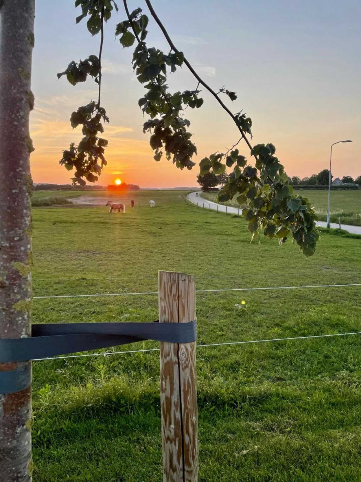 Gift card for Camping Lagewald Vakantiehuis