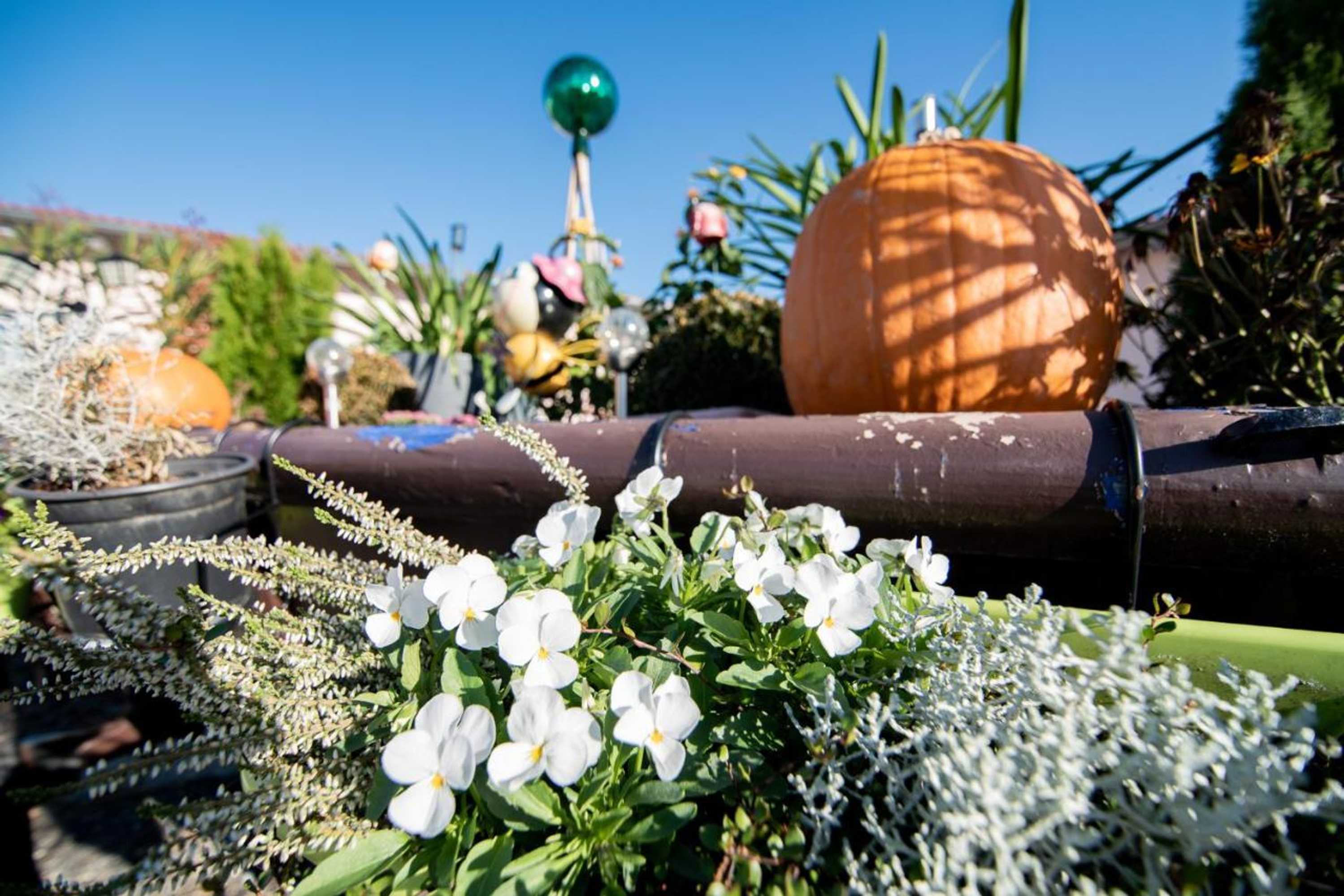 Gift card for L-Appartements