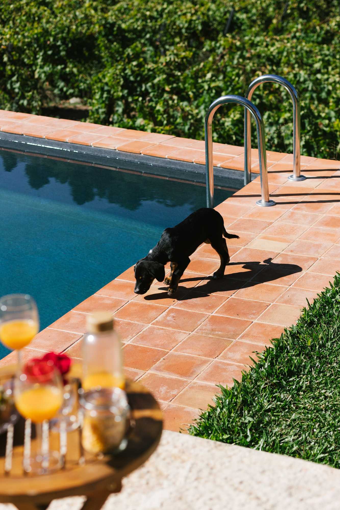 Gift card for Quinta de Recião