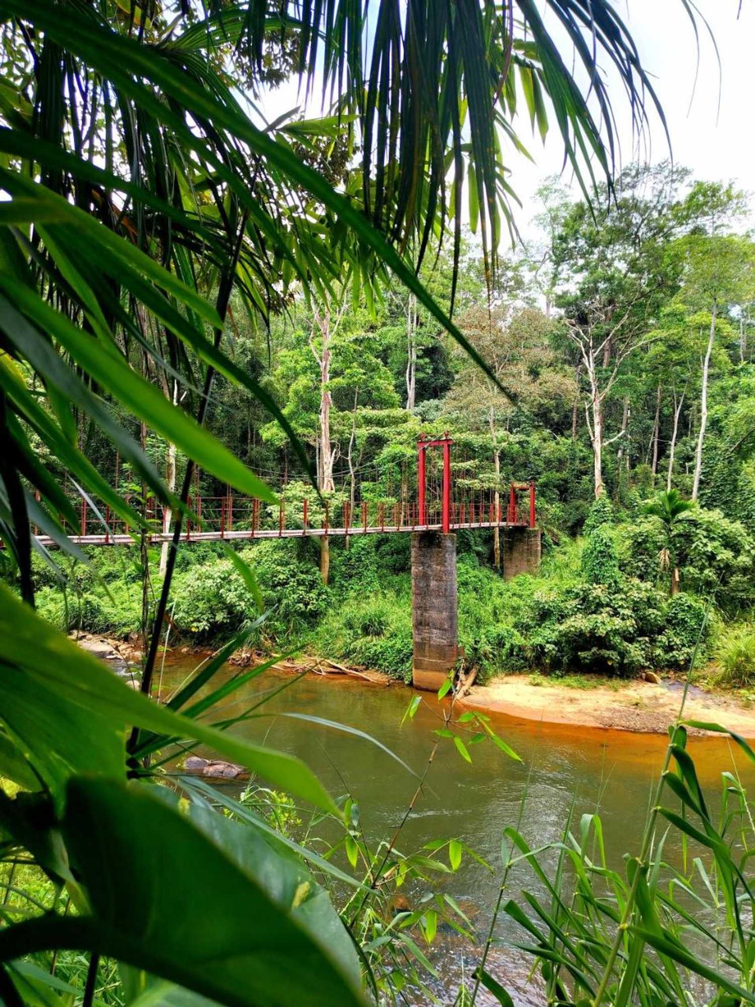 Gift card for Rainforest Nature House