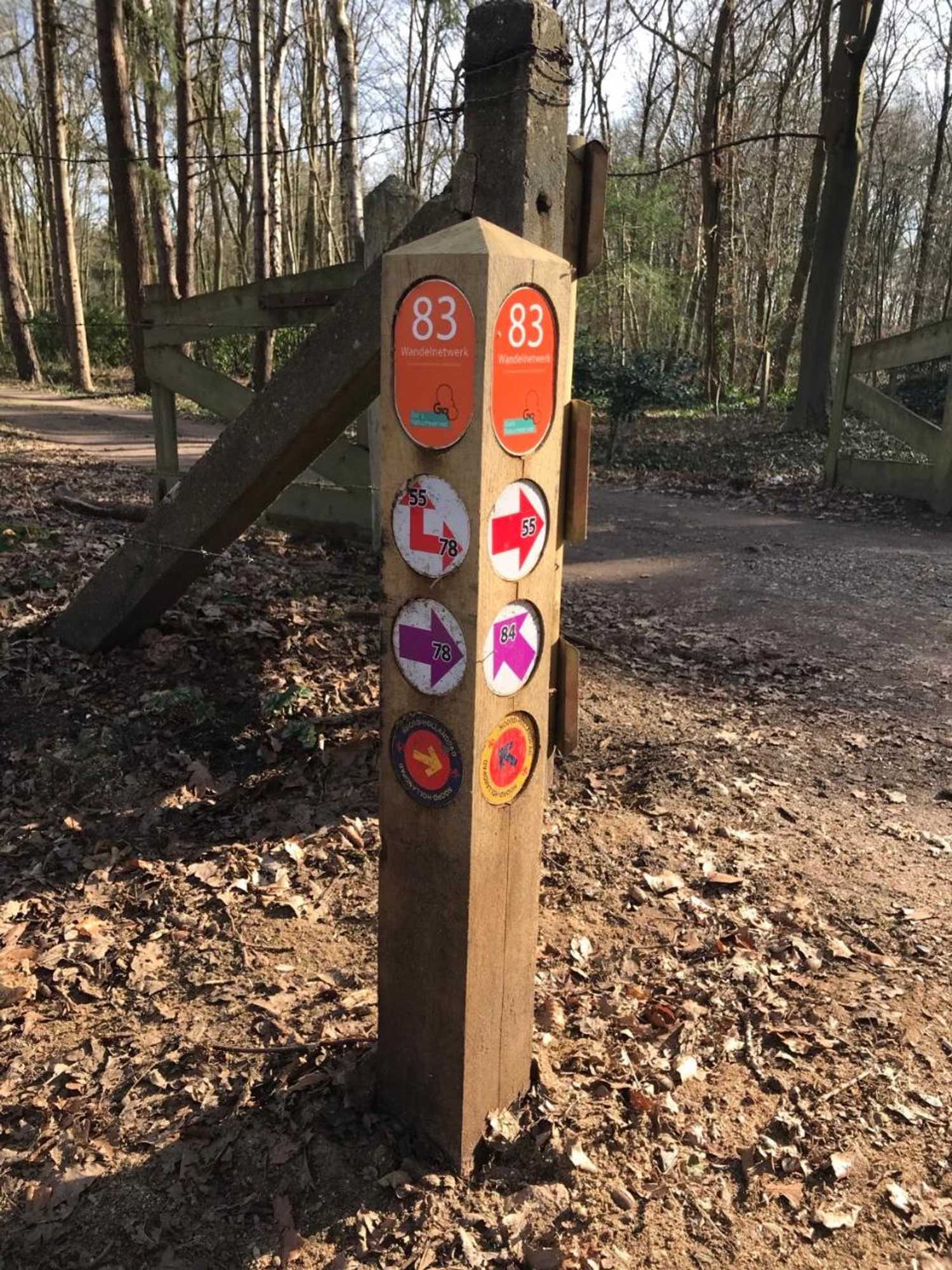 Gift card for The Livingrooms Laren