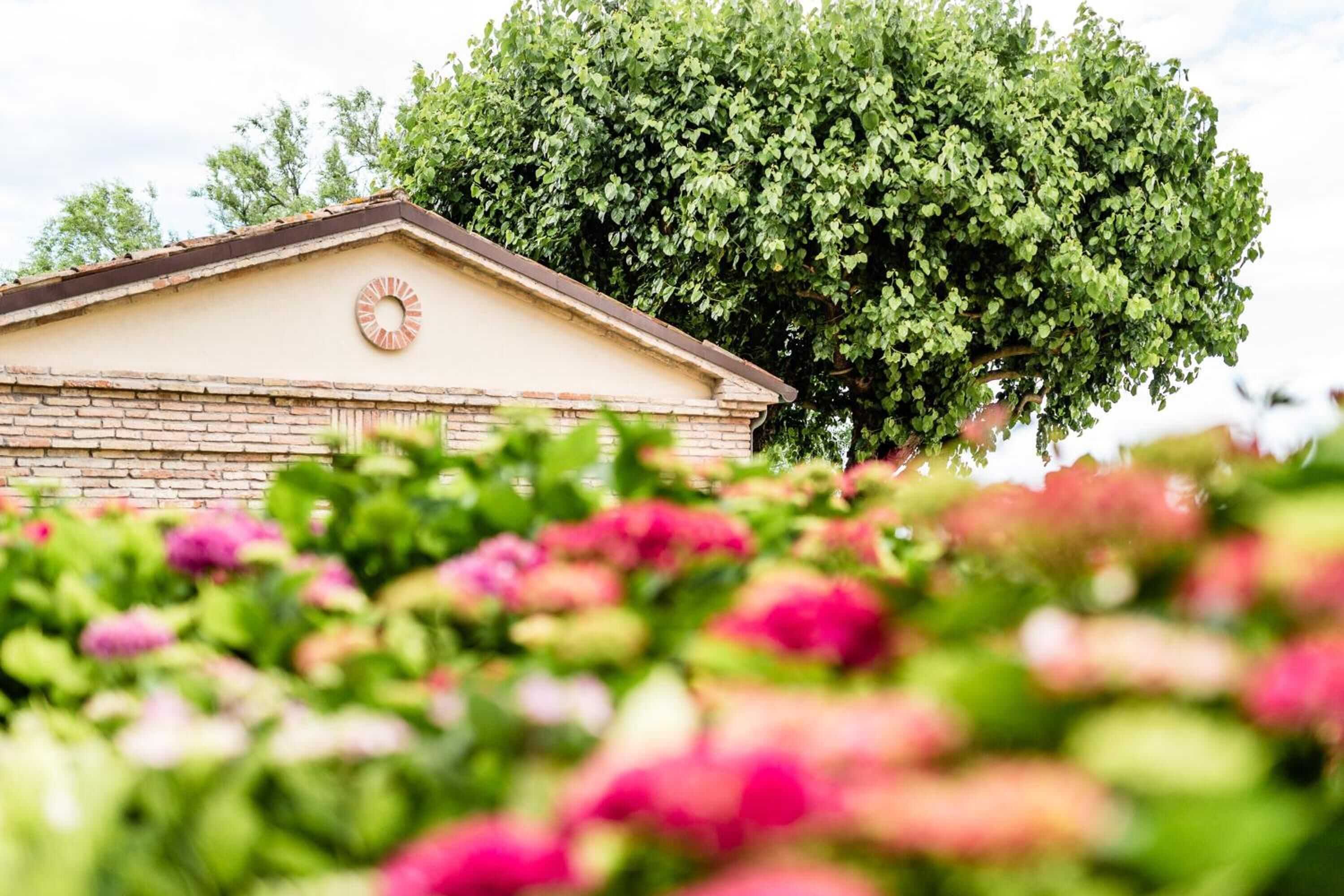 Gift card for Poggio Antico - Suites And Breakfast Gift card for Poggio Antico - Suites And Breakfast