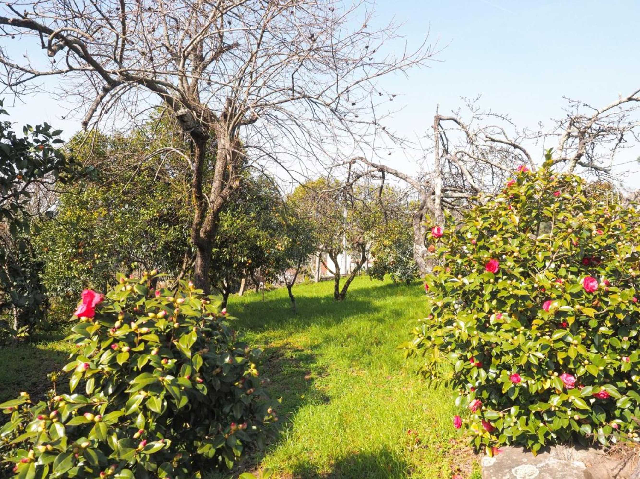 Gift card for Quinta Drº Amarante