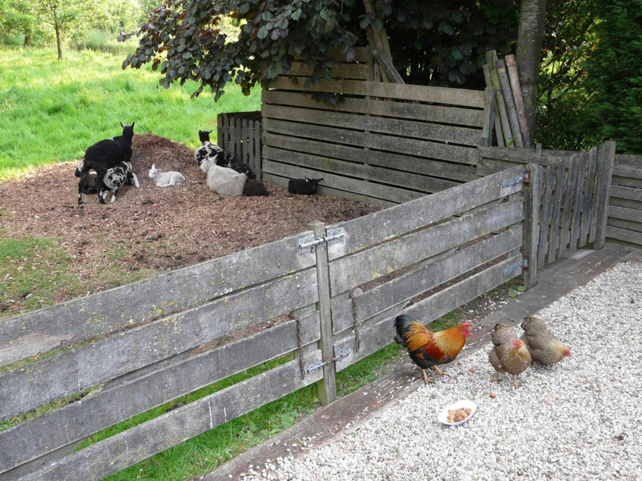 Gift card for De Boomgaard Groene Hart