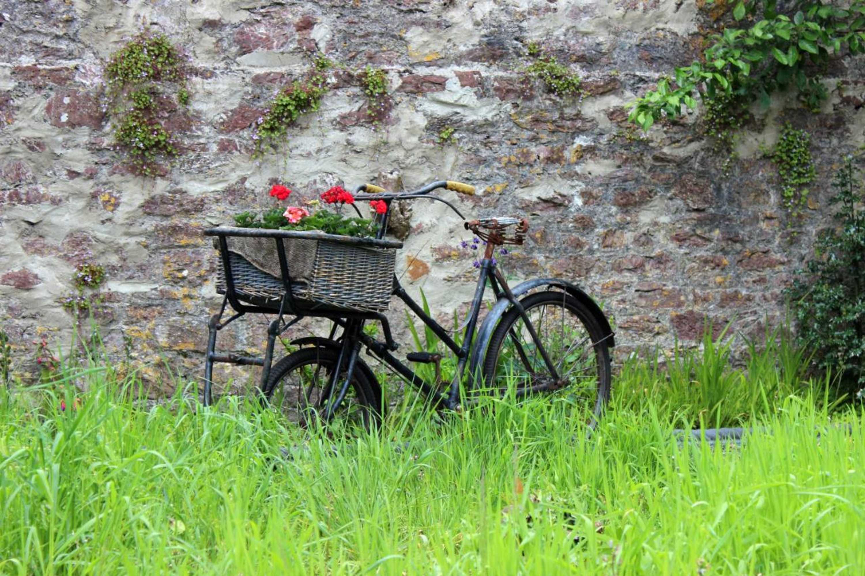 Gift card for St Katharine's House