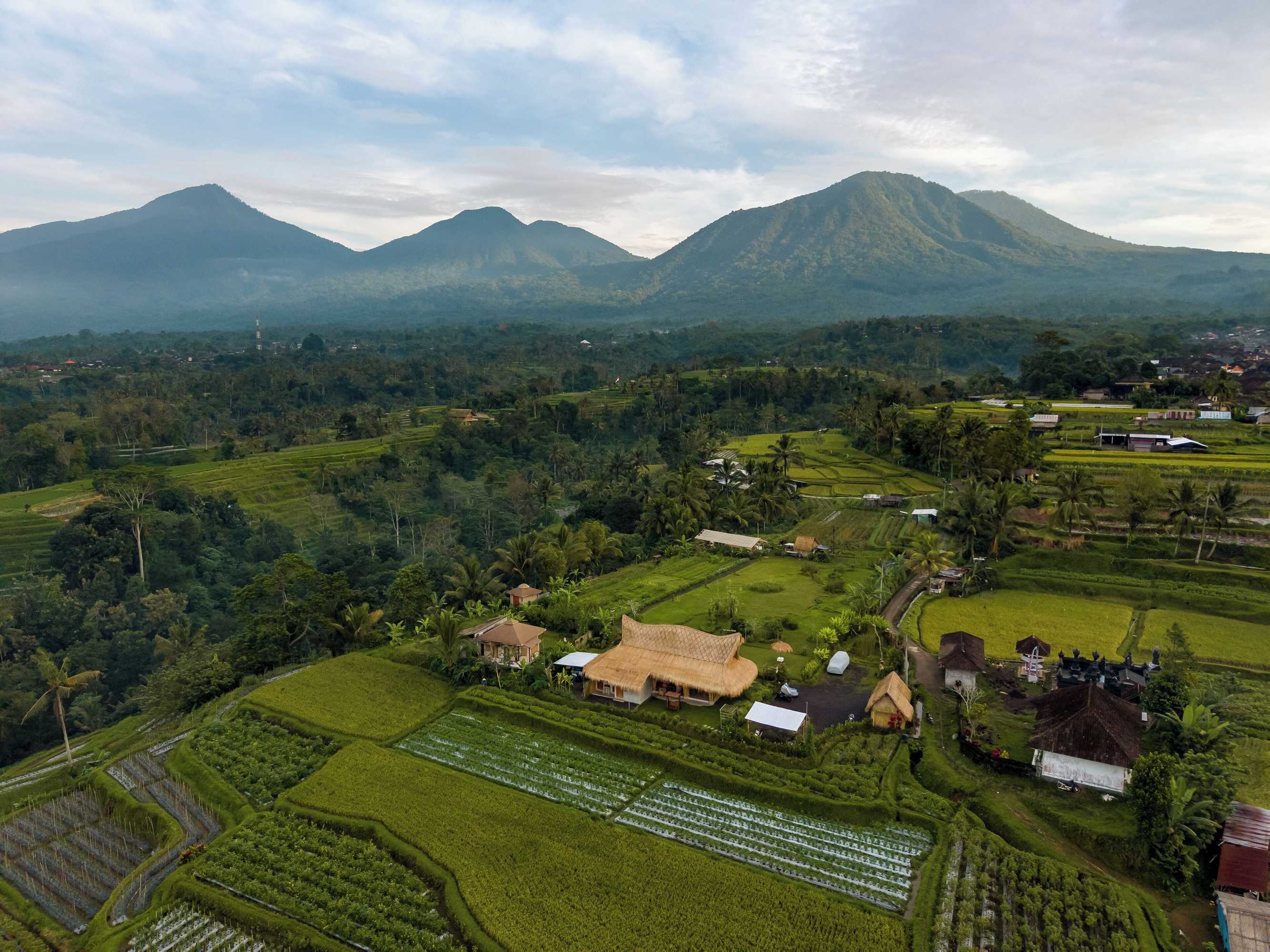 Gift card for Nadi Nature Resort - Adults Only Gift card for Nadi Nature Resort - Adults Only