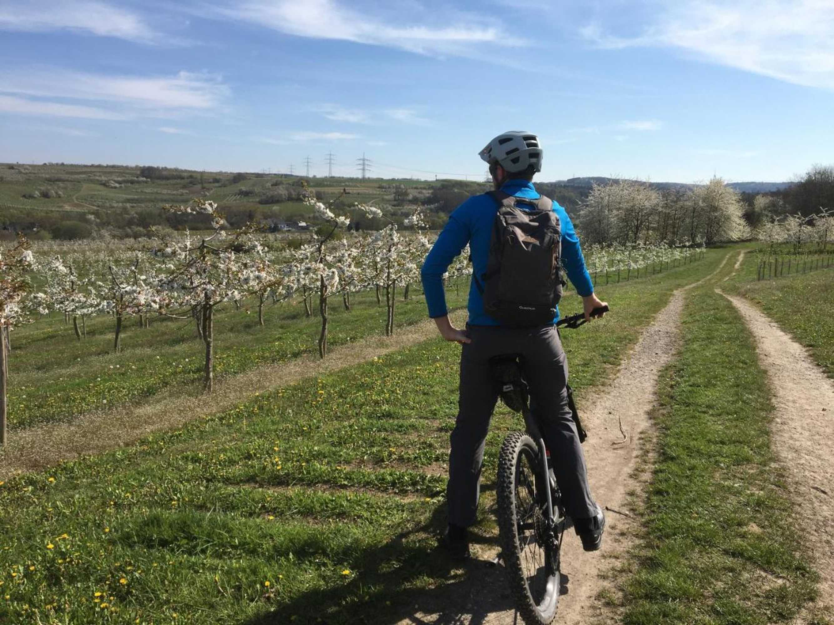 Gift card for Bengel's Hotel Zur Krone