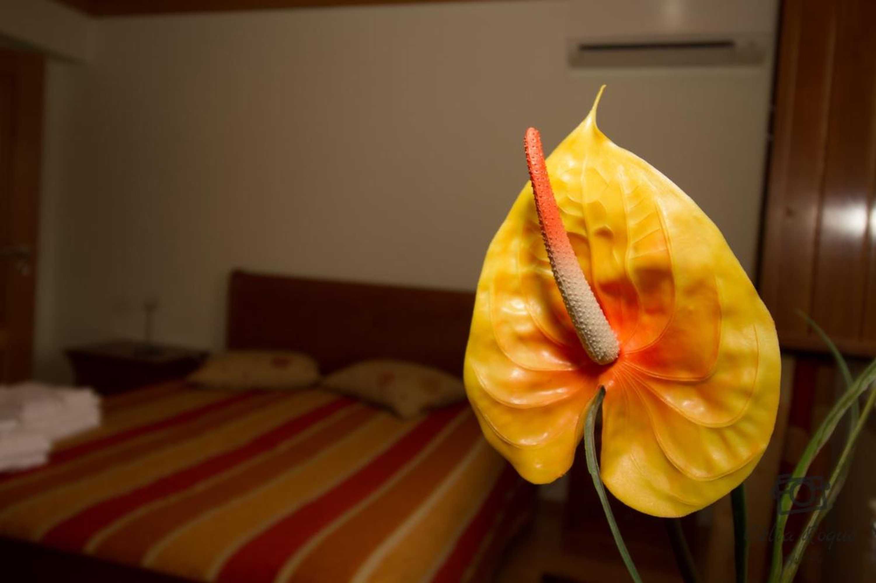 Gift card for Casa da Ribeirinha