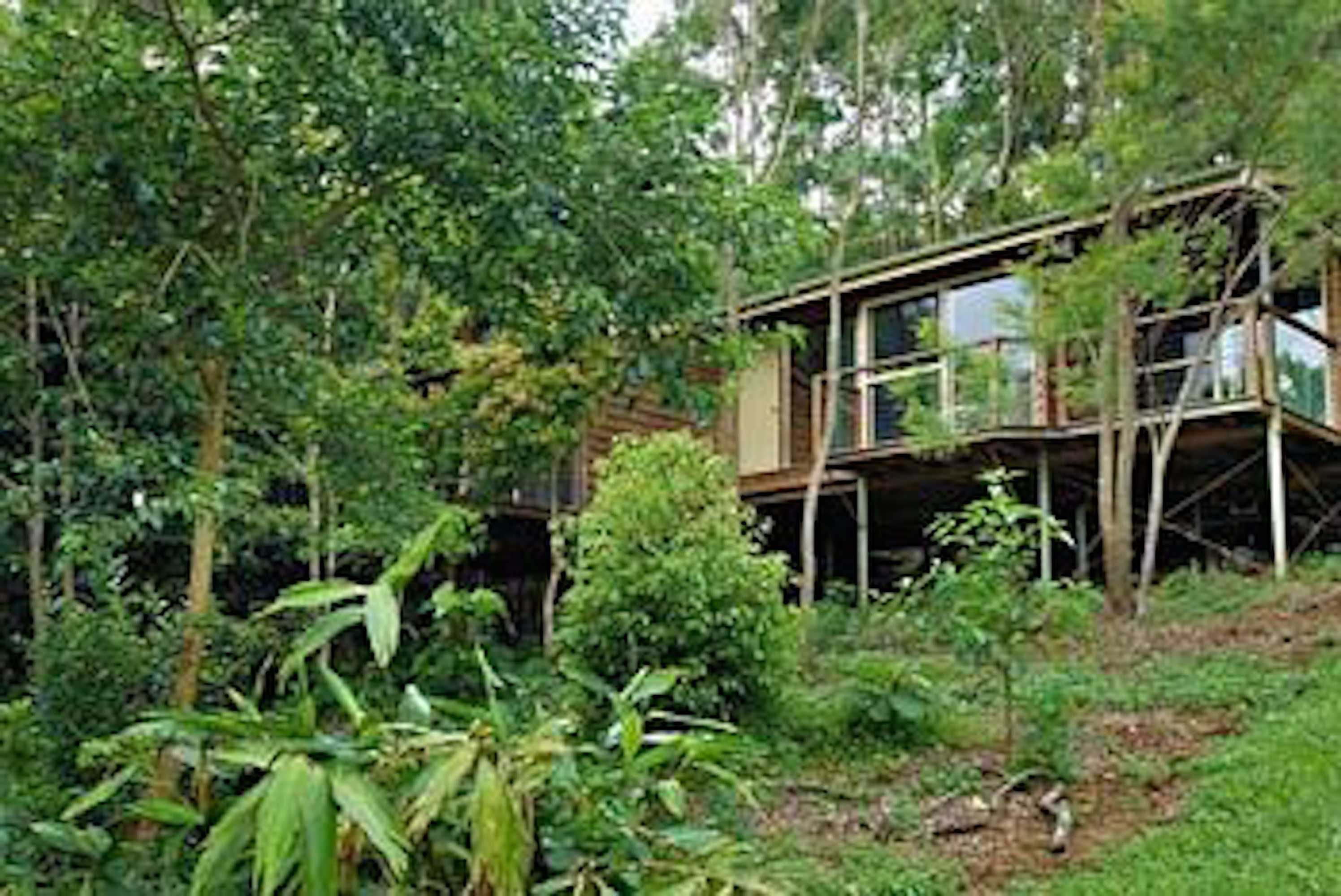 Gift card for Kondalilla Eco Resort Gift card for Kondalilla Eco Resort