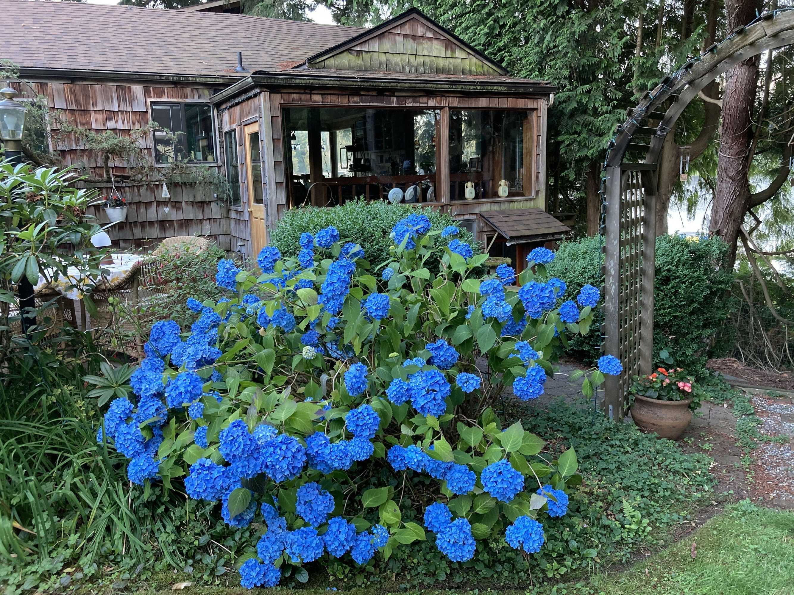 Gift card for Cottage Lake Bed And Breakfast