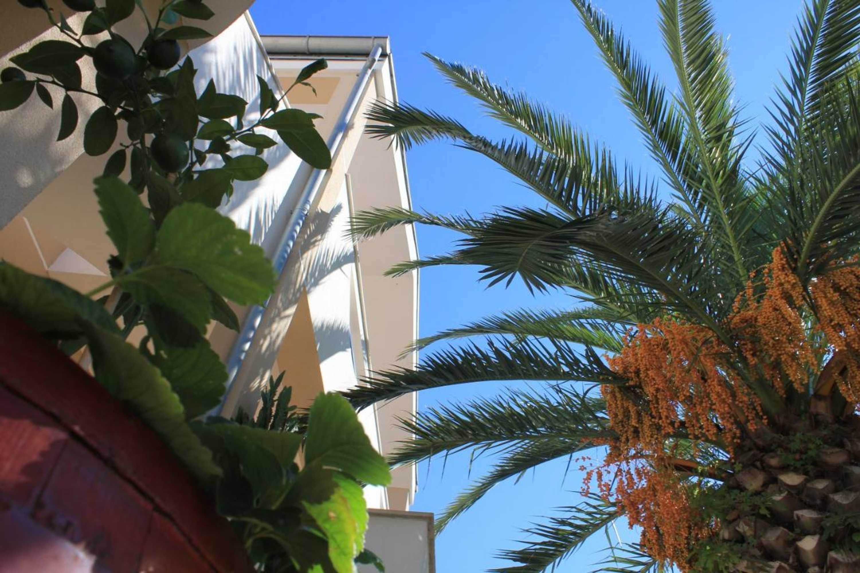 Gift card for Apartments Nikolina