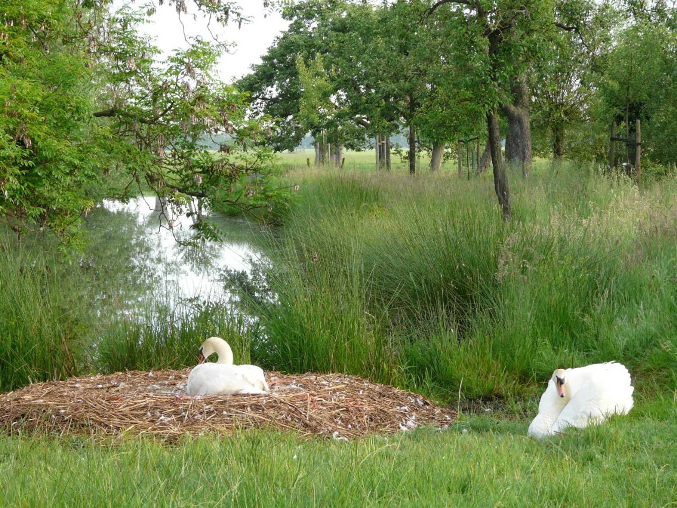Gift card for De Boomgaard Groene Hart