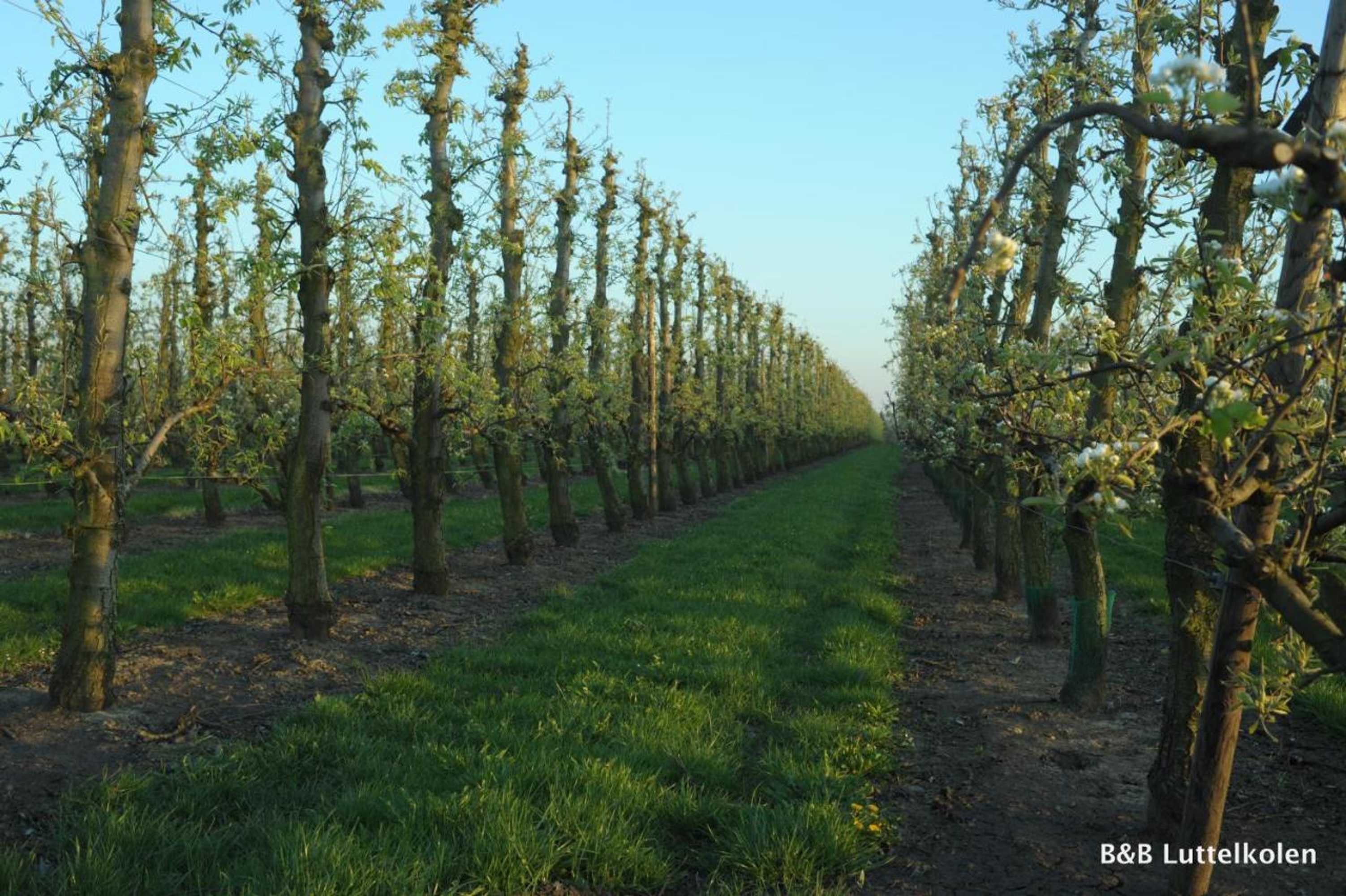 Gift card for Luttelkolen