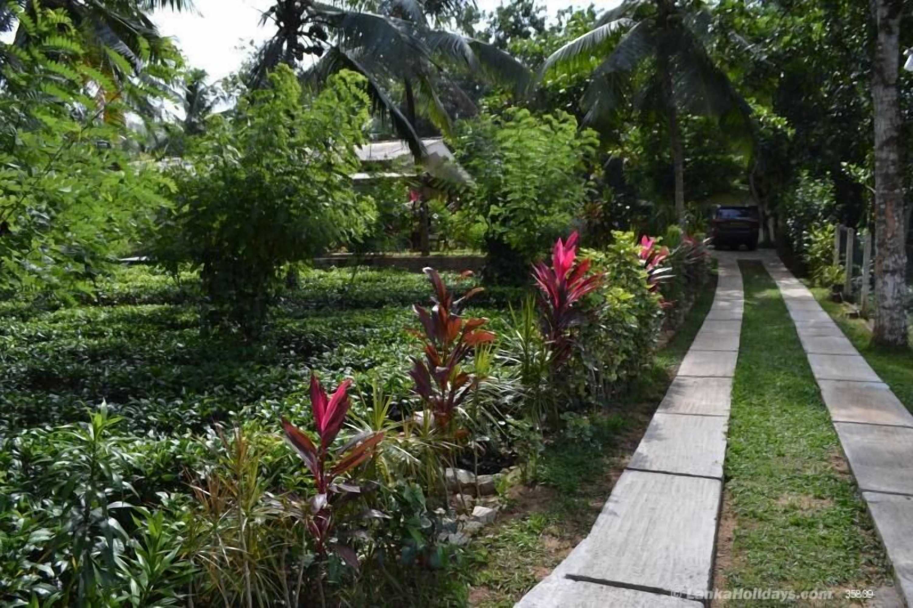 Gift card for Graten Tea Garden Holiday Bungalow Gift card for Graten Tea Garden Holiday Bungalow