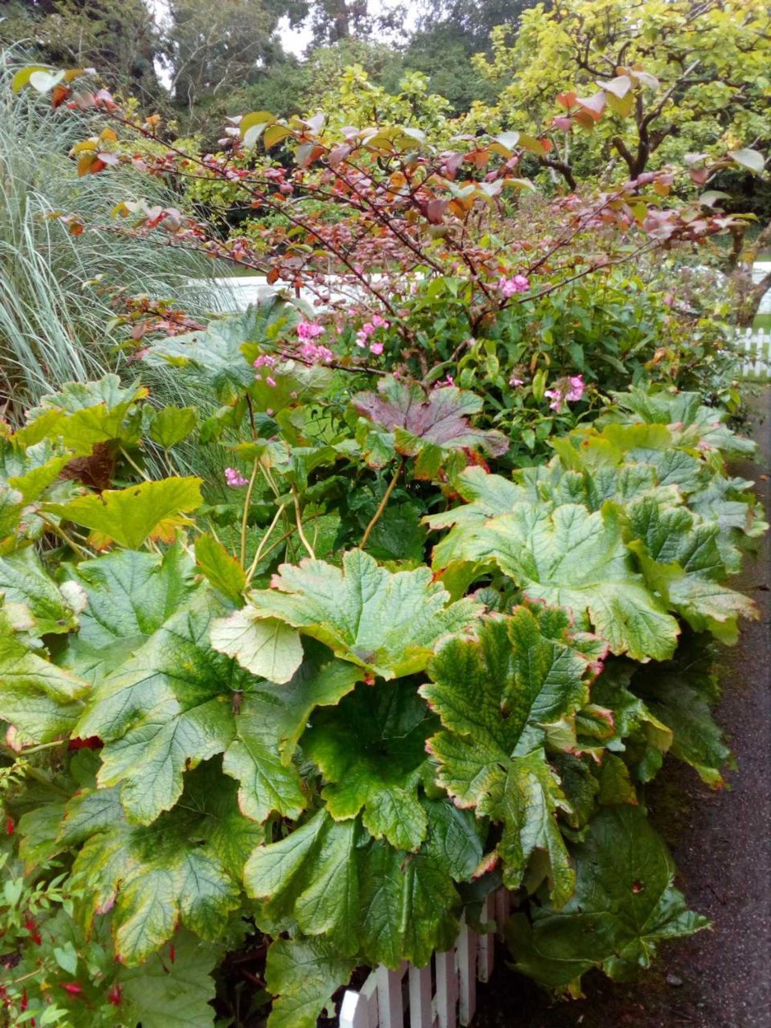 Gift card for Villa Berk en Heide