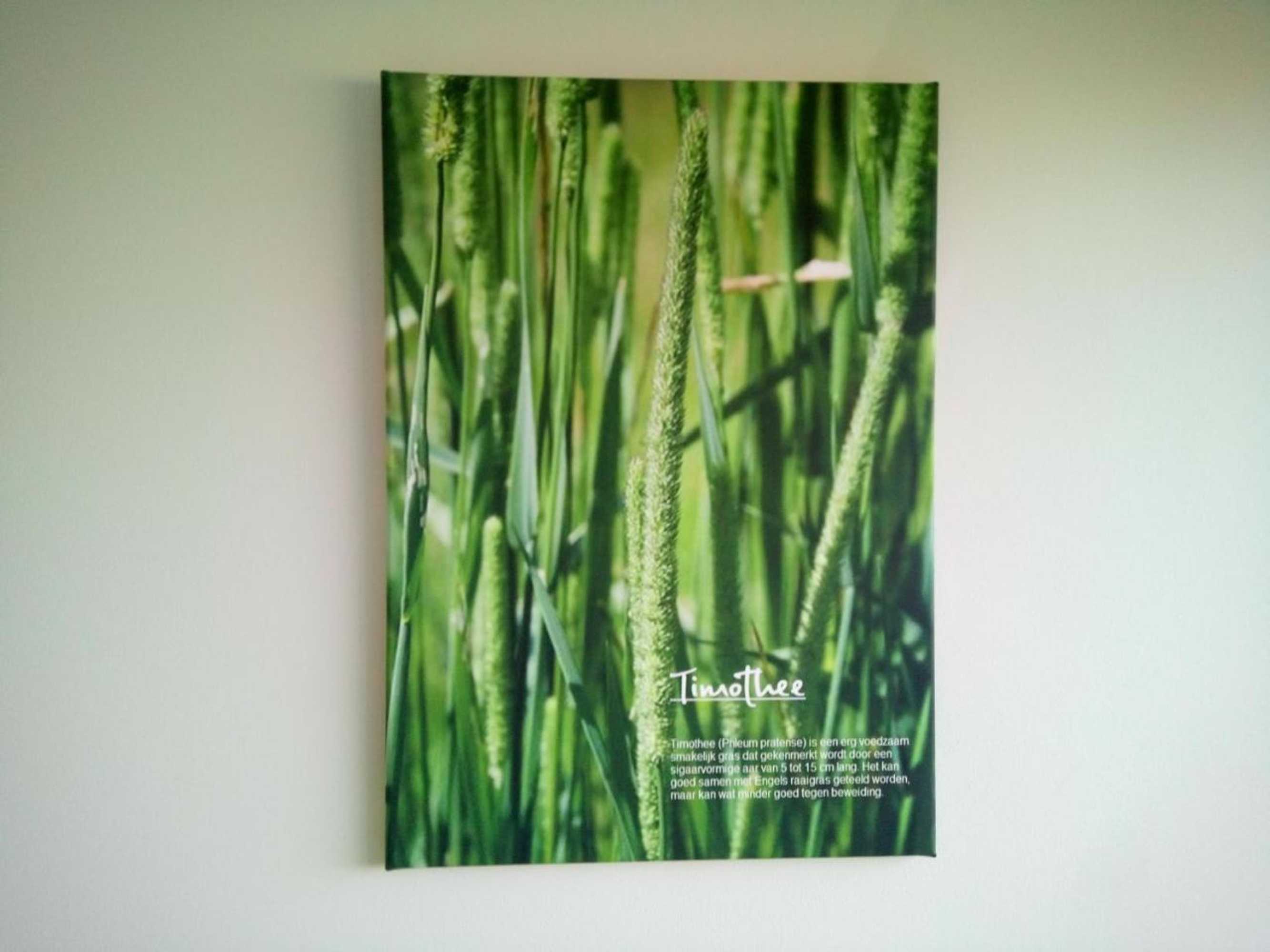 Gift card for B&b In de Wei