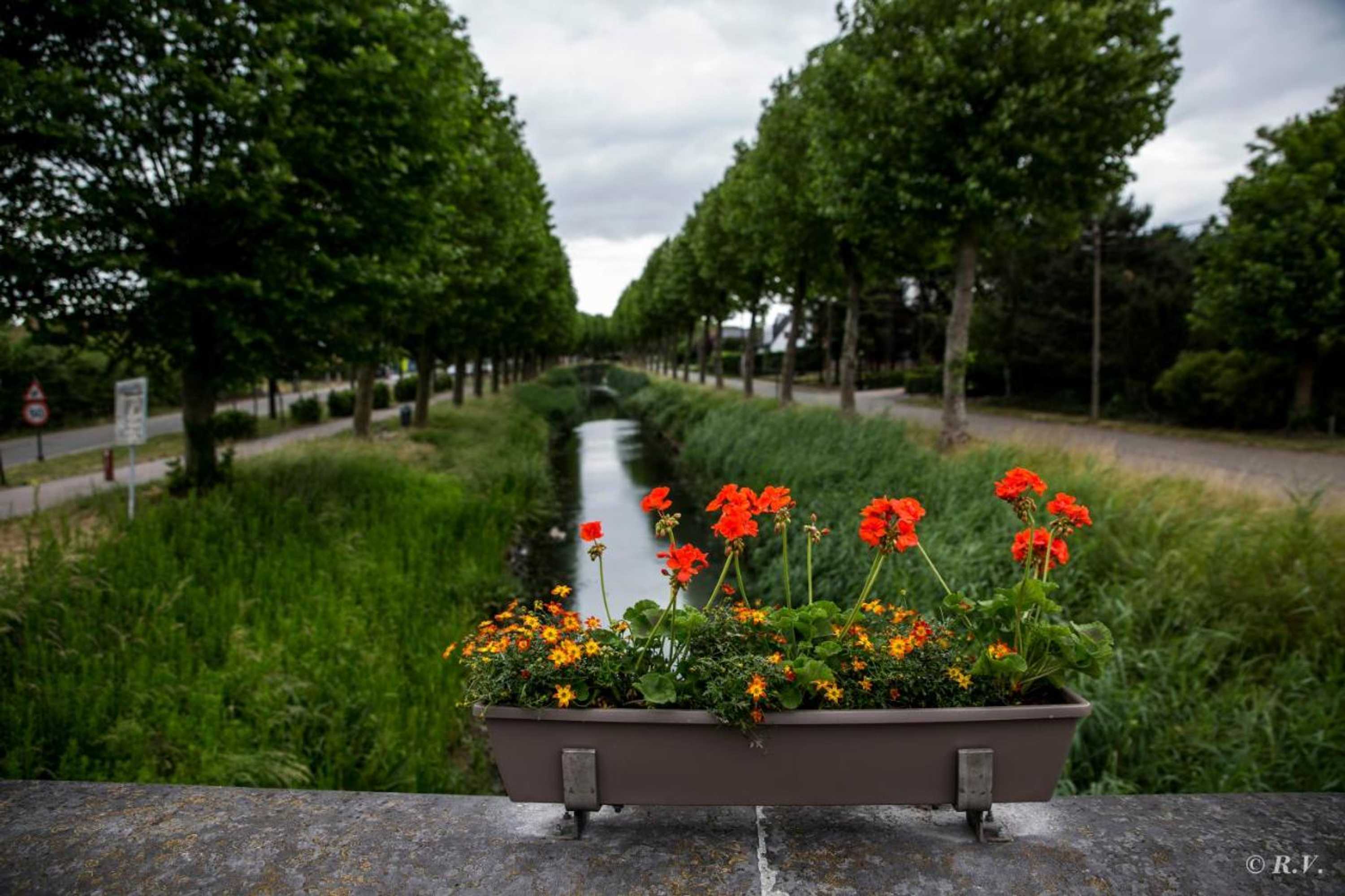 Gift card for De Minnetuin
