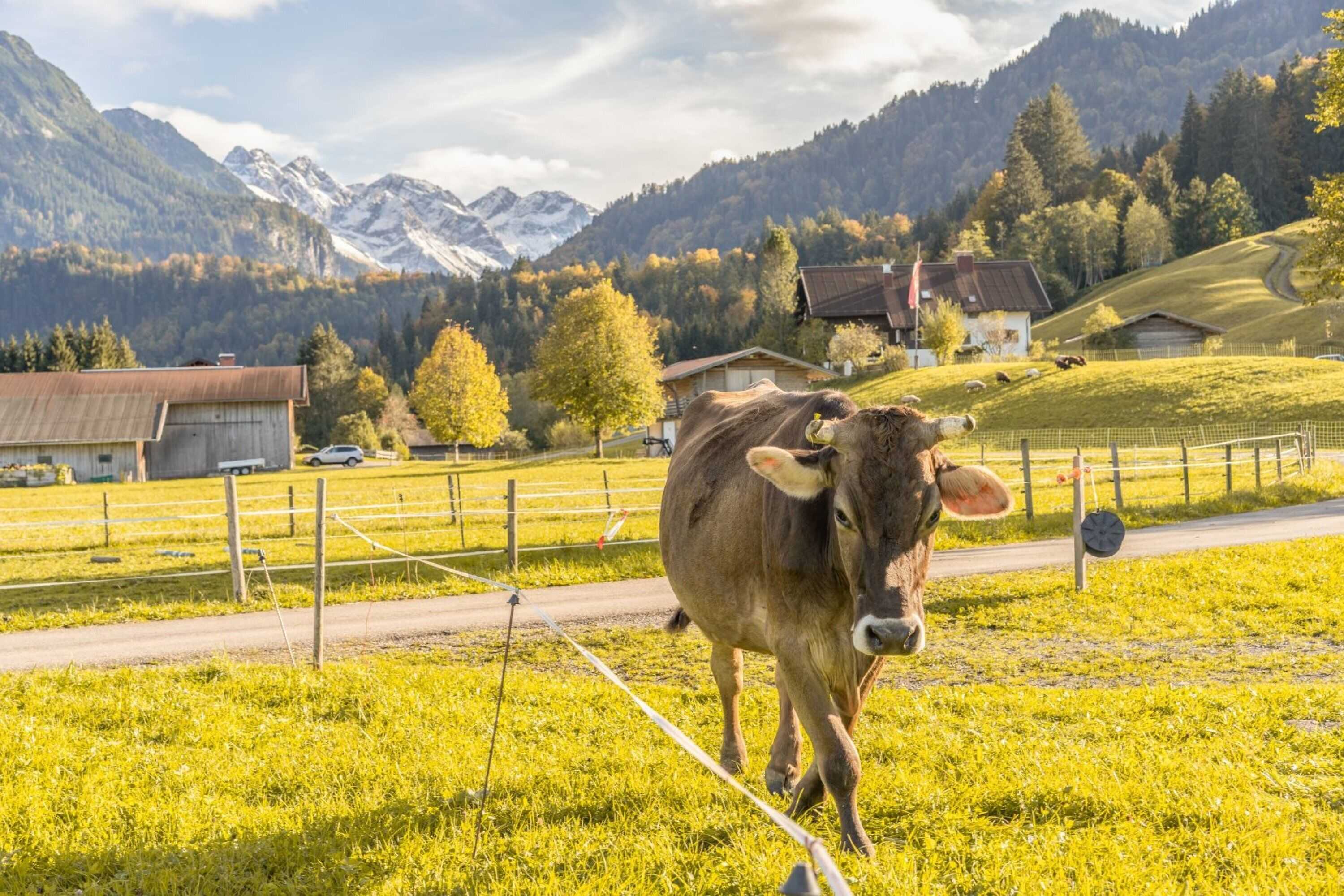 Gift card for Das Freiberg