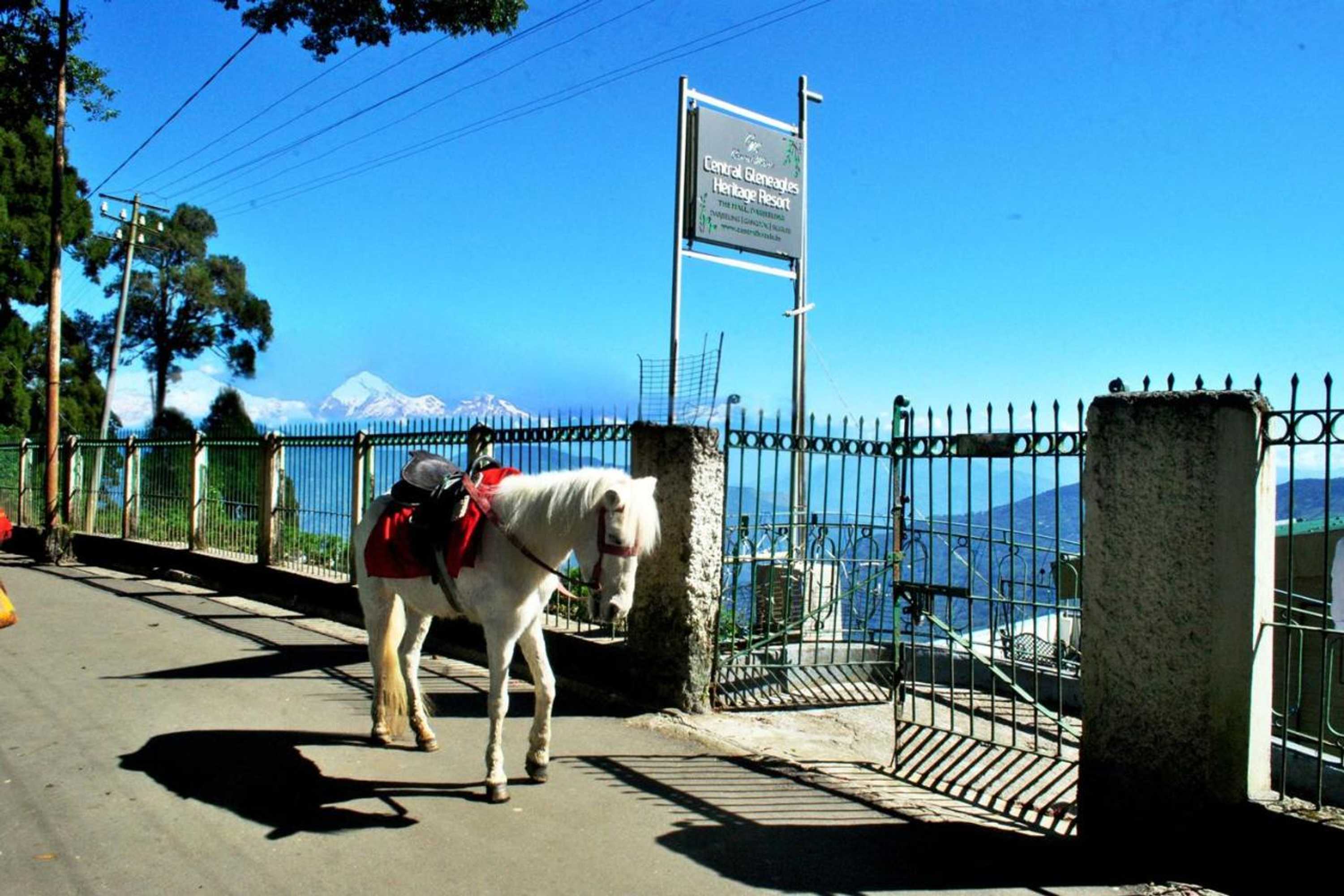 Gift card for Central Gleneagles Heritage Resort Former Bungalow of Ex-Tata Chairman Russi Mody The Mall Road Darjeeling Gift card for Central Gleneagles Heritage Resort Former Bungalow of Ex-Tata Chairman Russi Mody The Mall Road Darjeeling