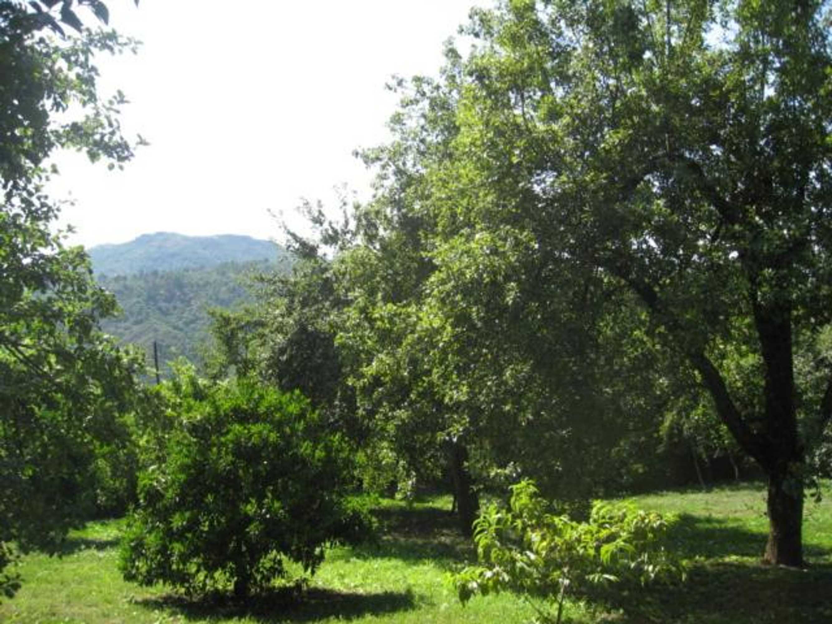 Gift card for Casa De Carcavelos Gift card for Casa De Carcavelos