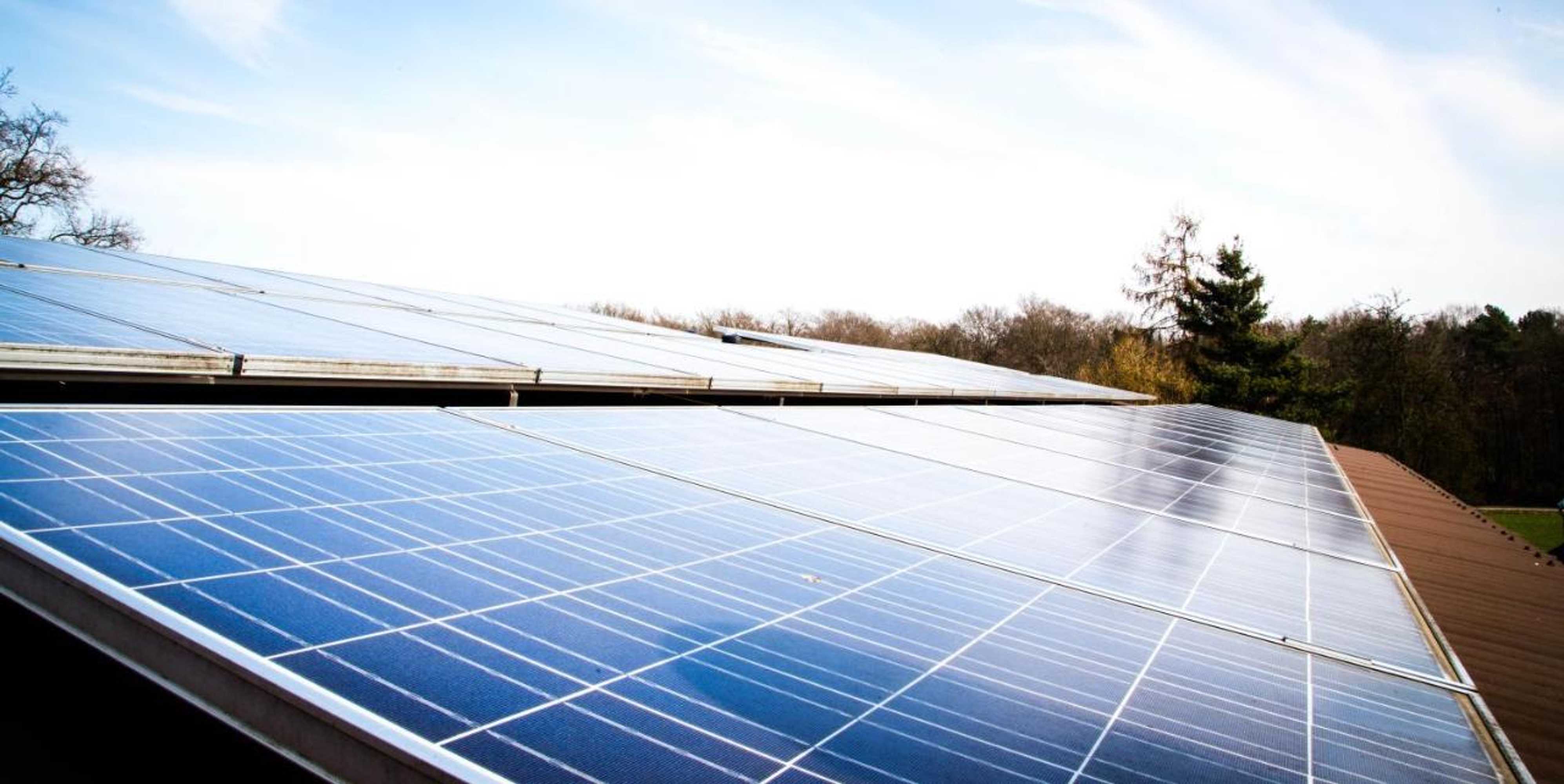 Gift card for Hotel Zum Grunewald