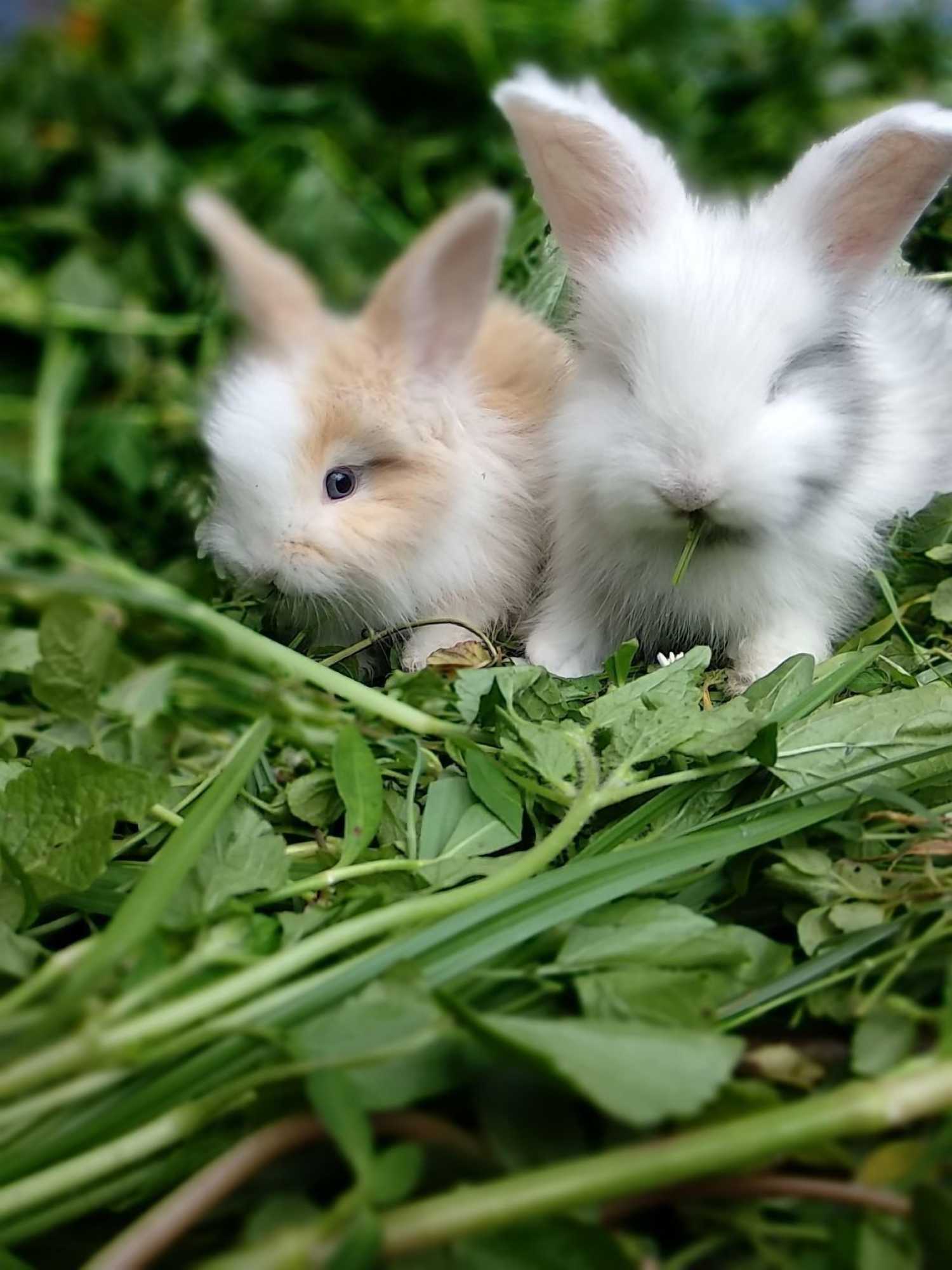 Gift card for River Walk Urban Camping House