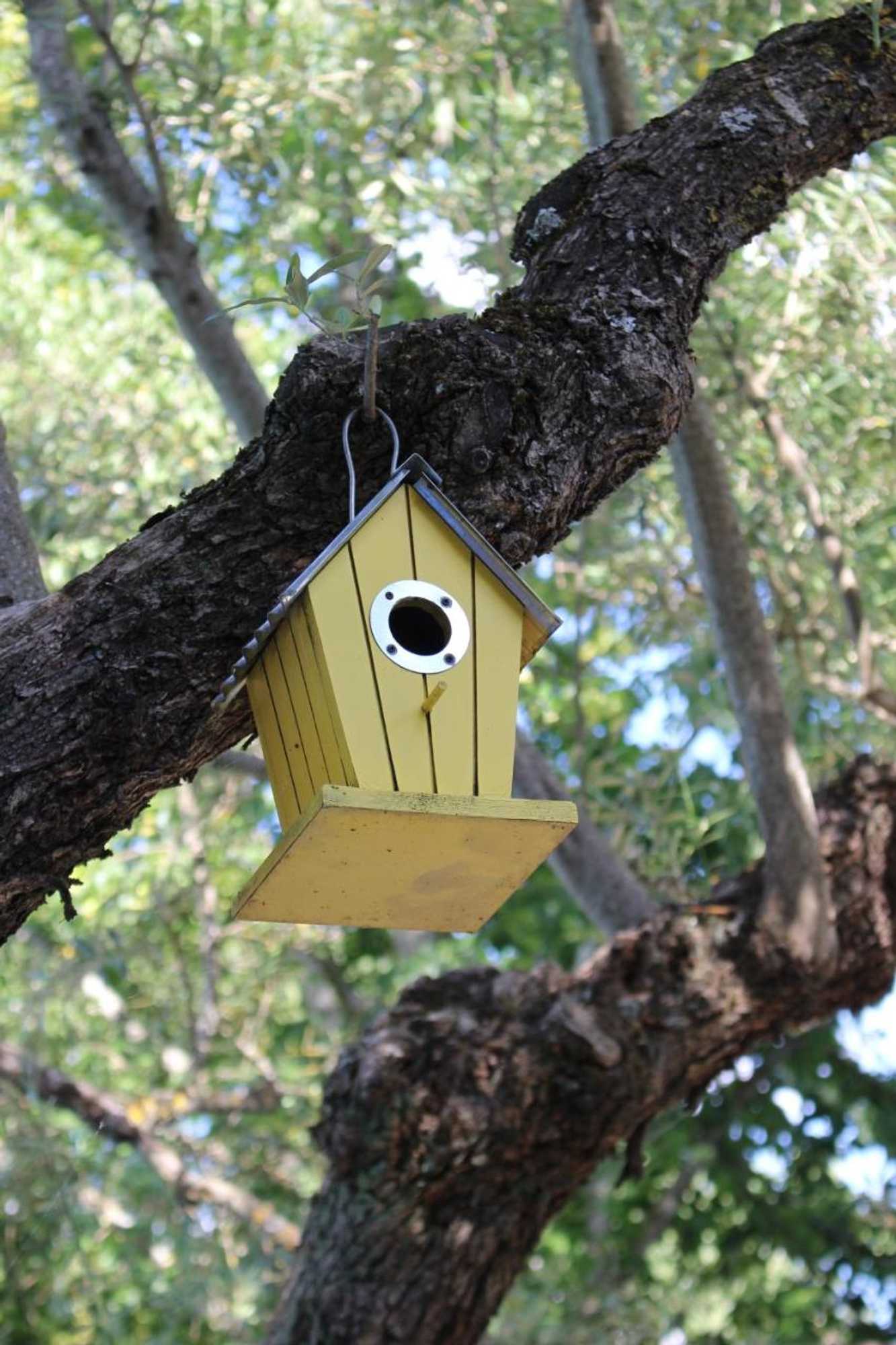 Gift card for Tapada da Rabela - Reserva Natural