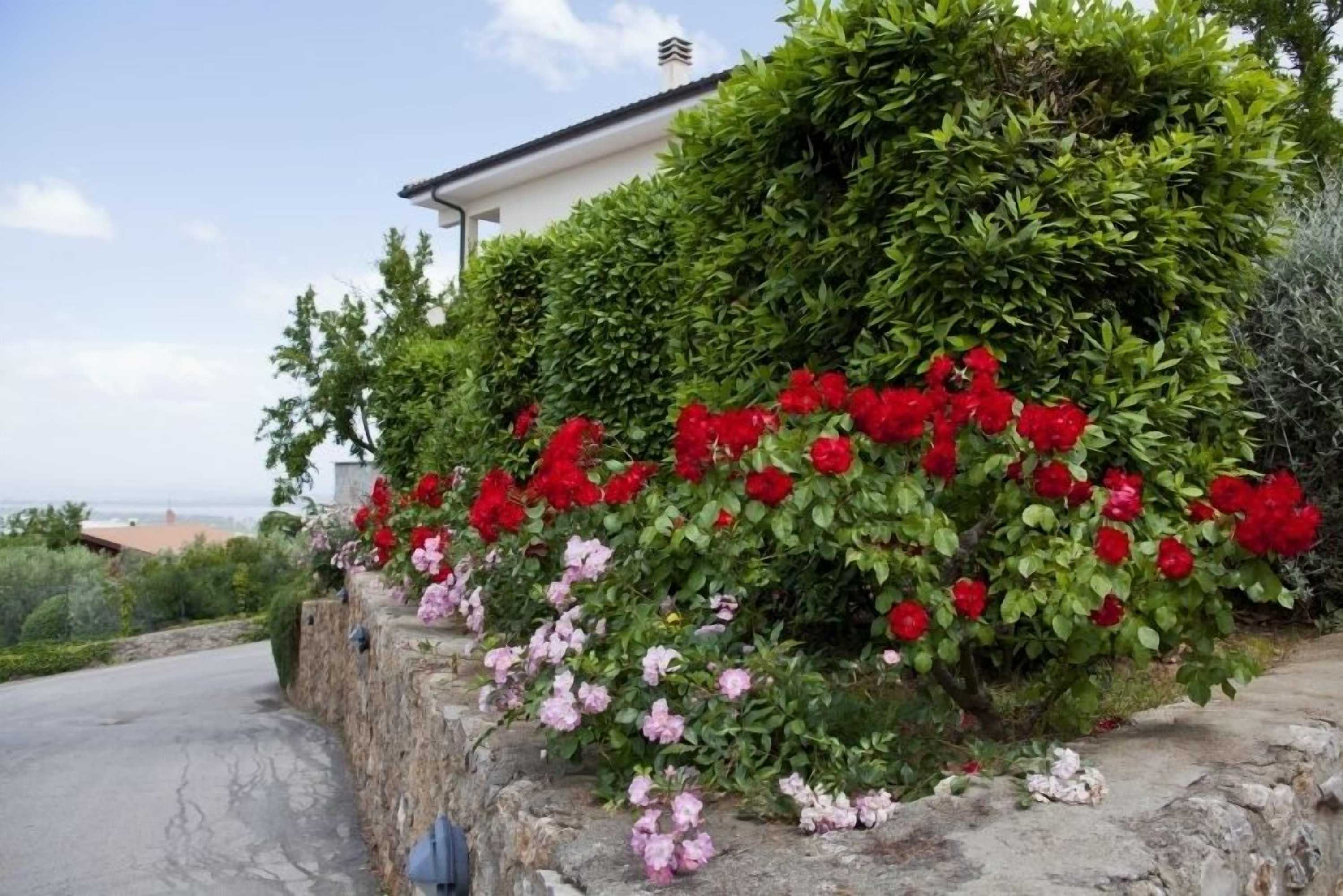 Gift card for Le Poste Del Pianone Gift card for Le Poste Del Pianone