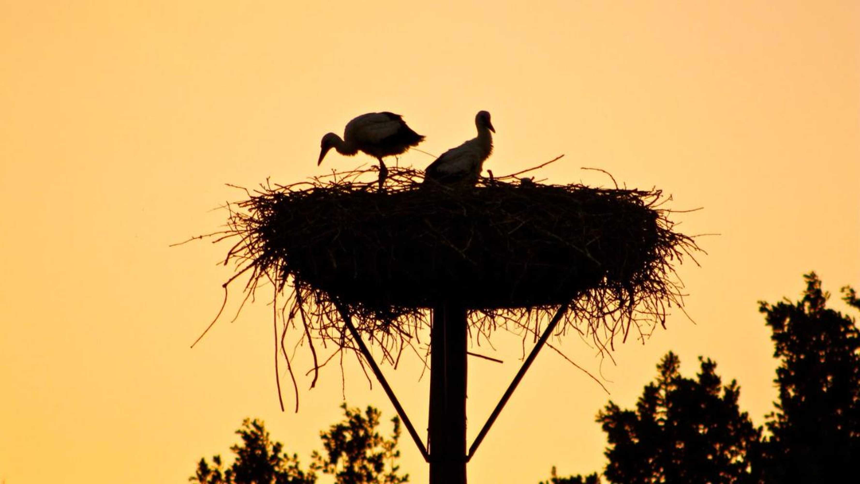 Gift card for Kasteel Sterkenburg