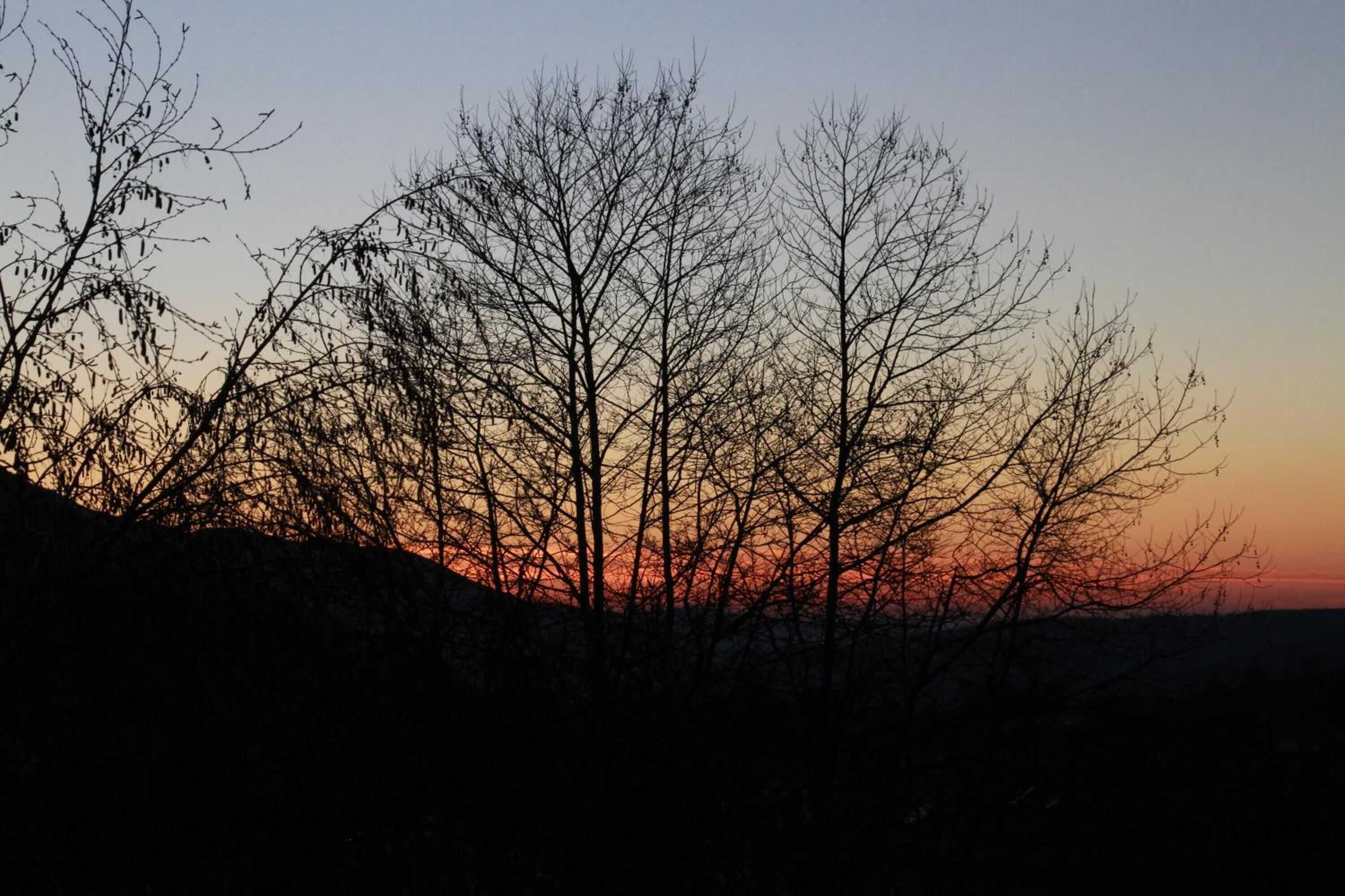 Gift card for Loriga Feel Nature- Hostel