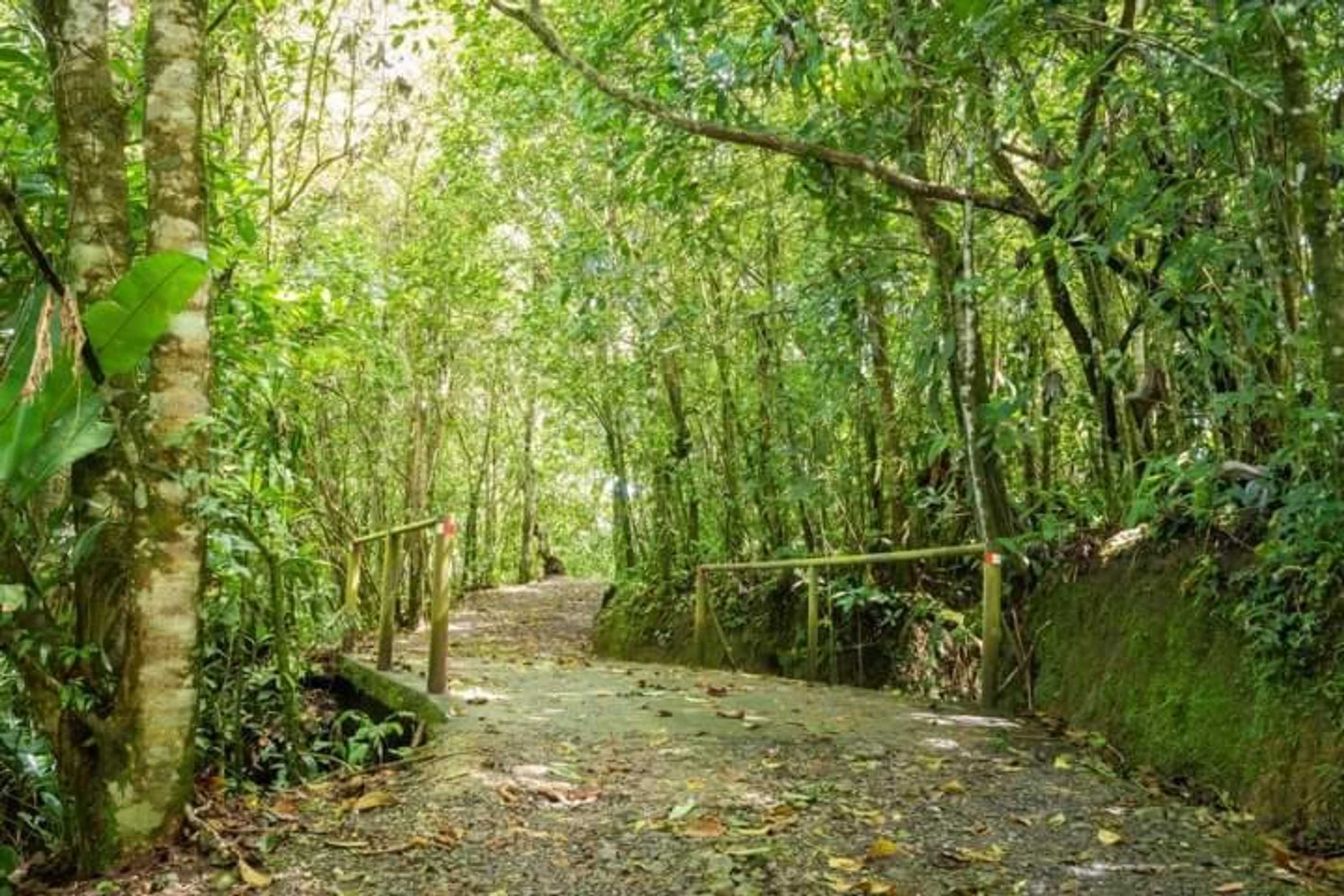 Gift card for Cabañas el Bosque Gift card for Cabañas el Bosque