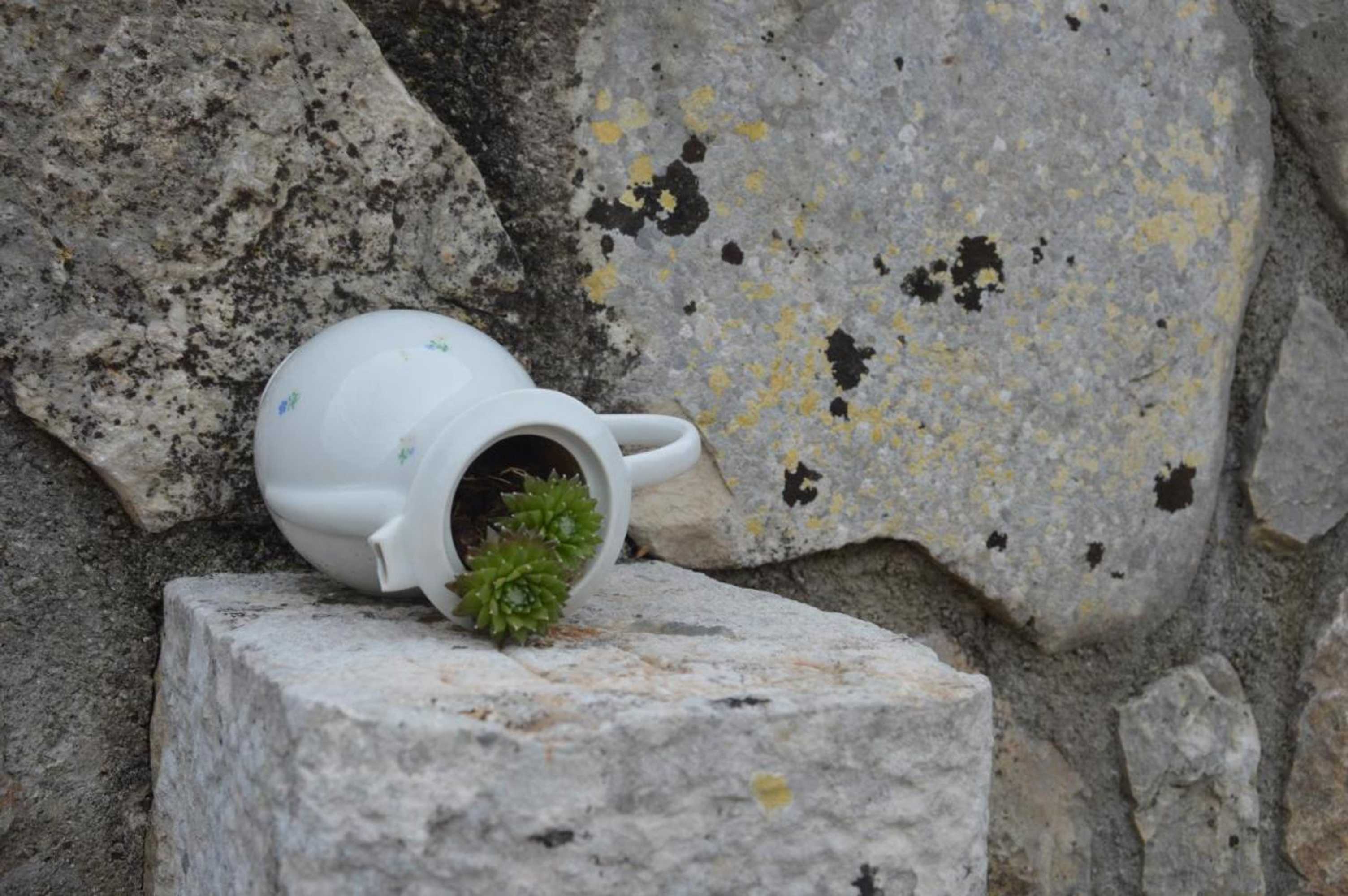 Gift card for Residence Mama