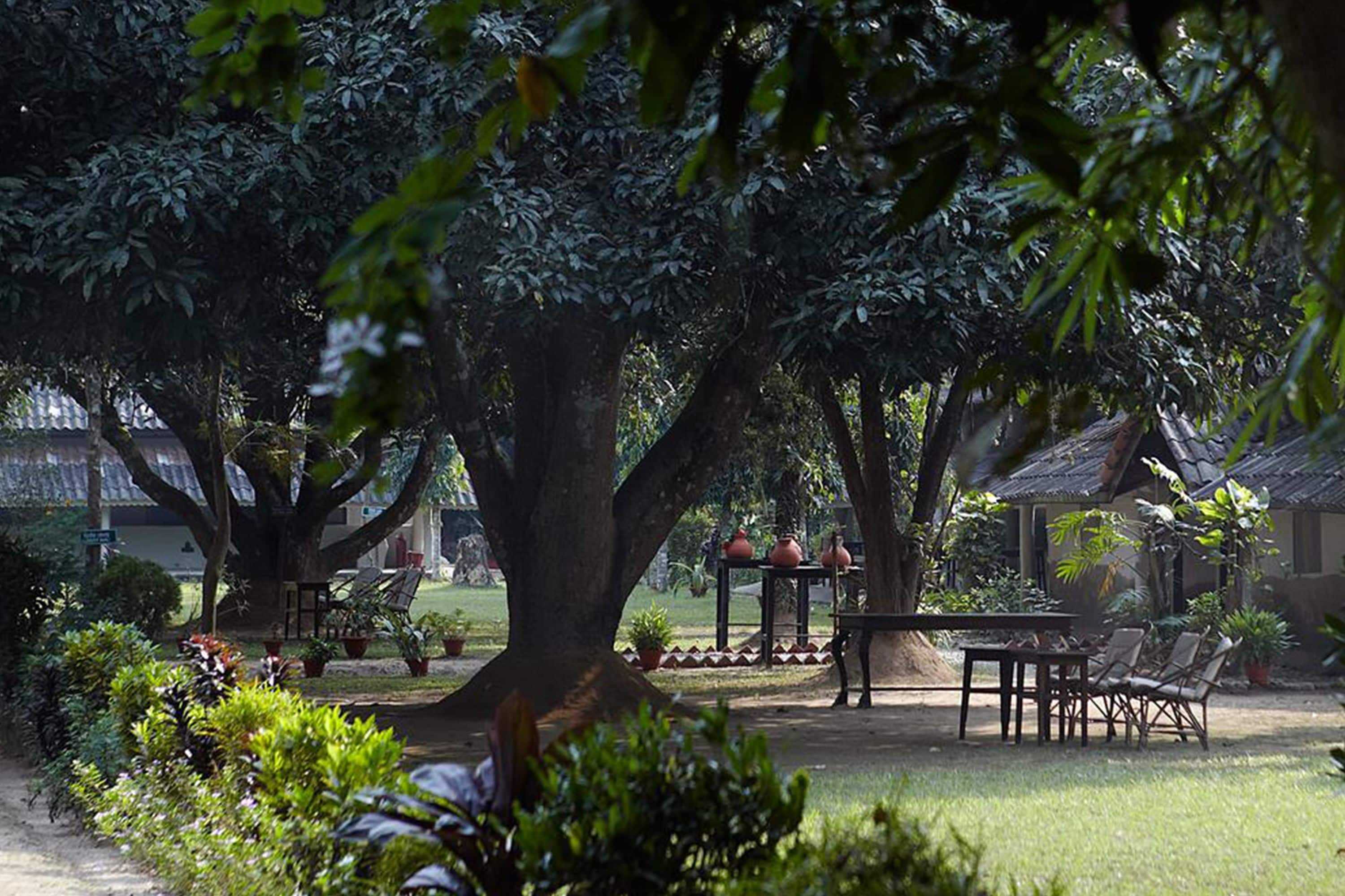 Gift card for Tiger Tops Tharu Lodge Gift card for Tiger Tops Tharu Lodge