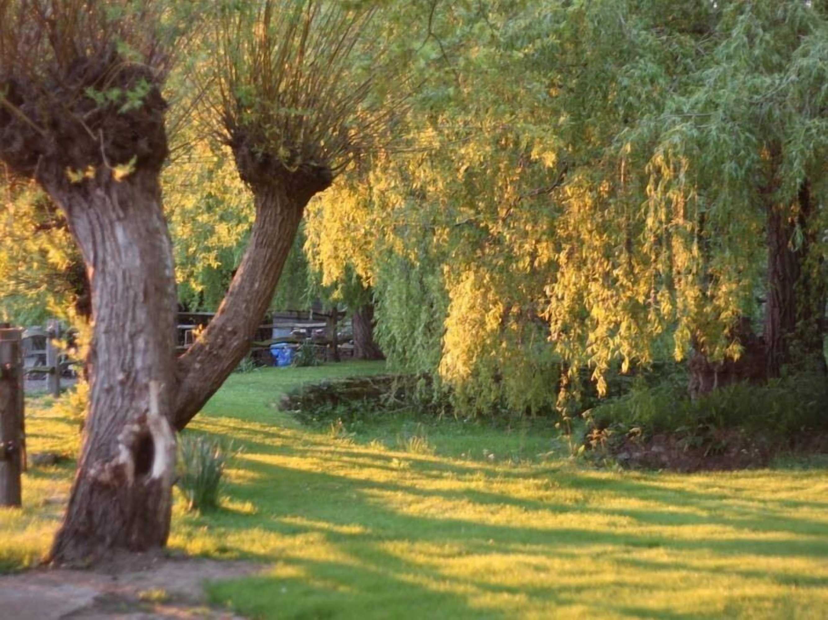 Gift card for Oak House Farm