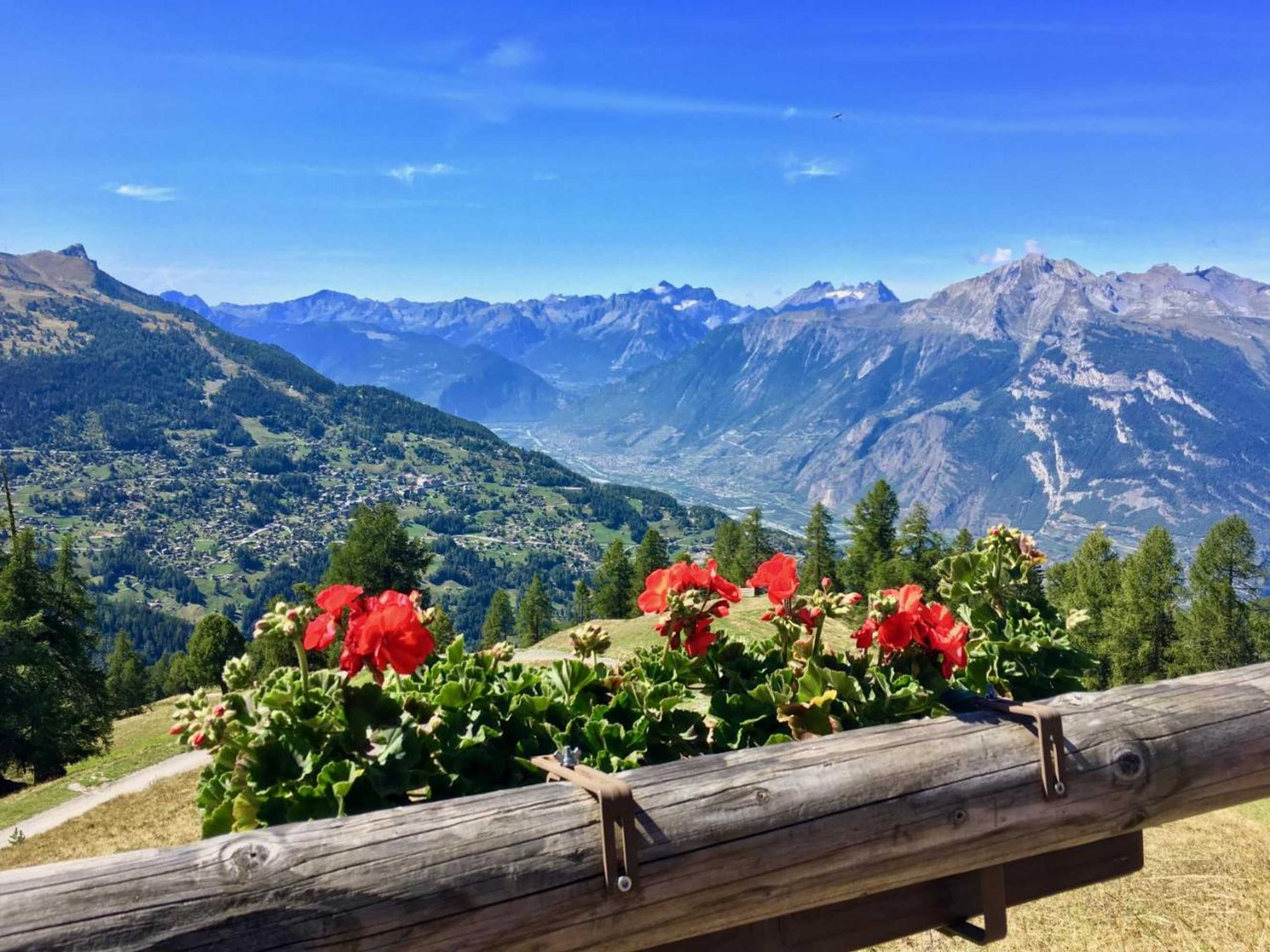 Gift card for Chalet Des Alpes