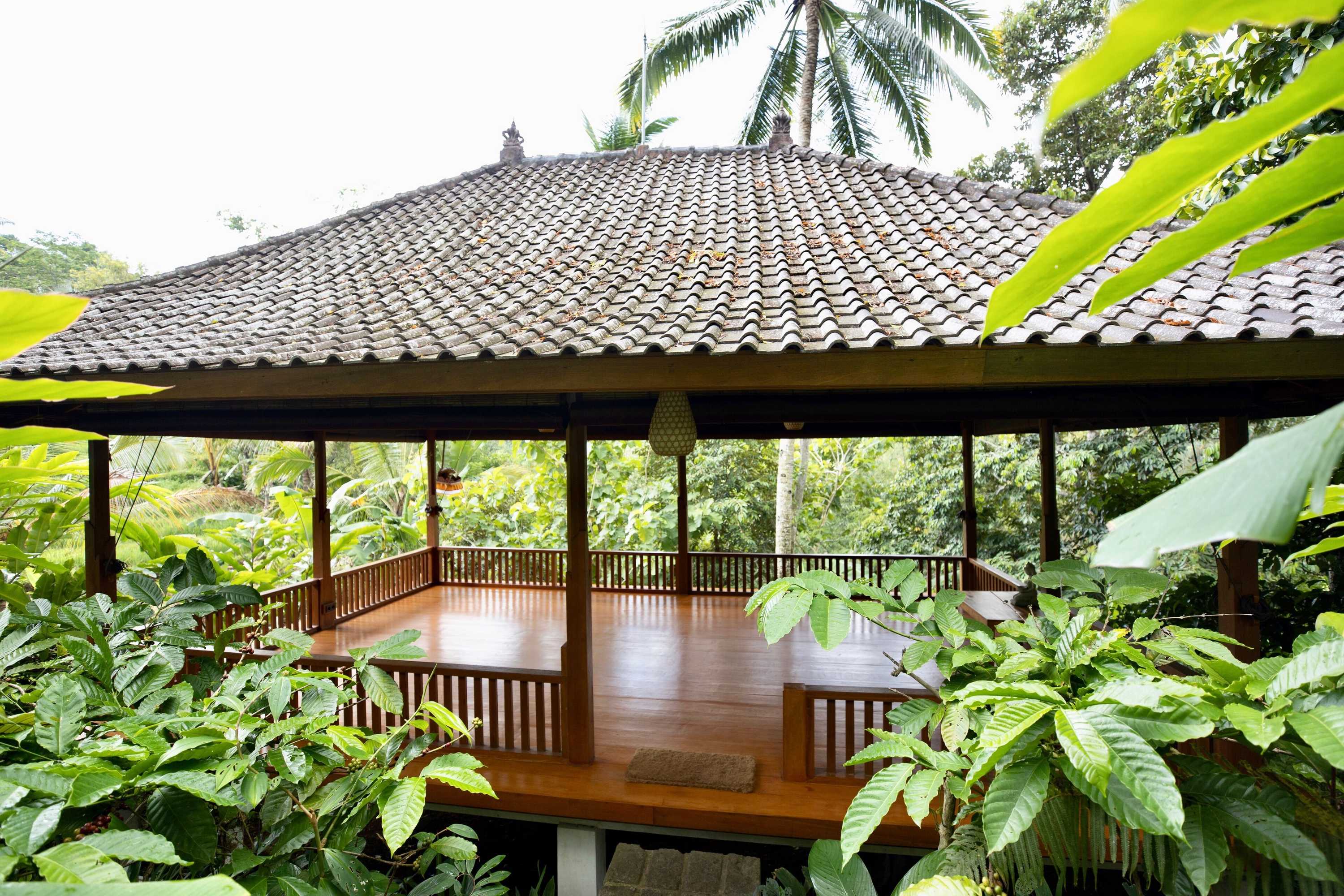 Gift card for Clove Tree Hill