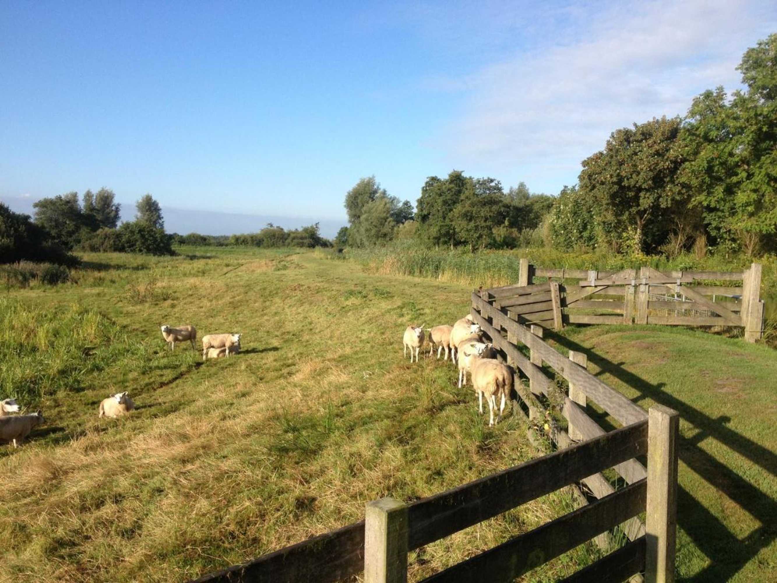 Gift card for Private Island De Sayter