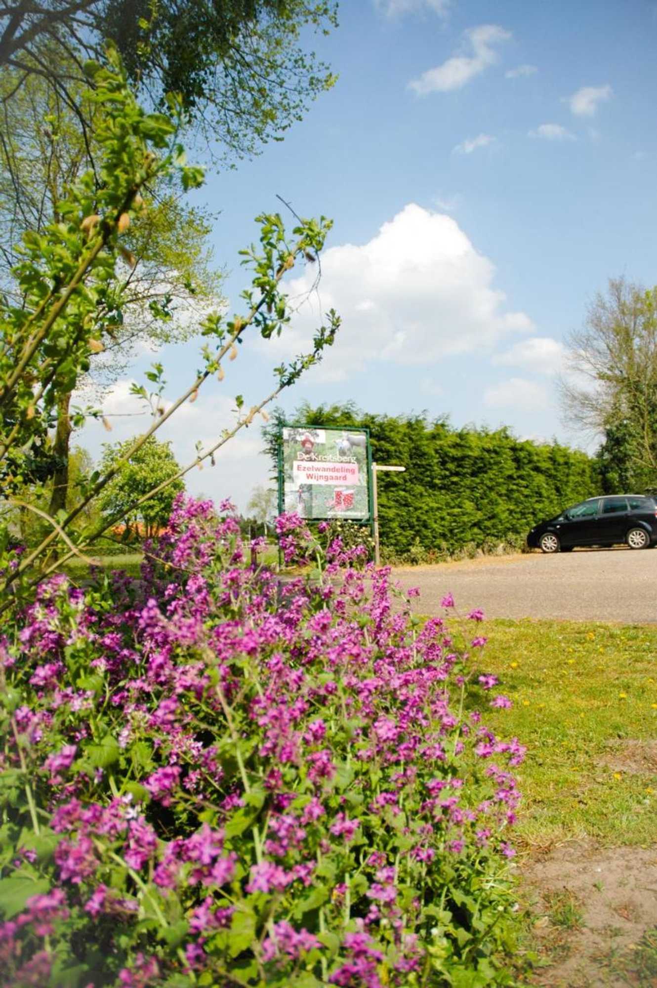 Gift card for Bed & Breakfast de Kreitsberg