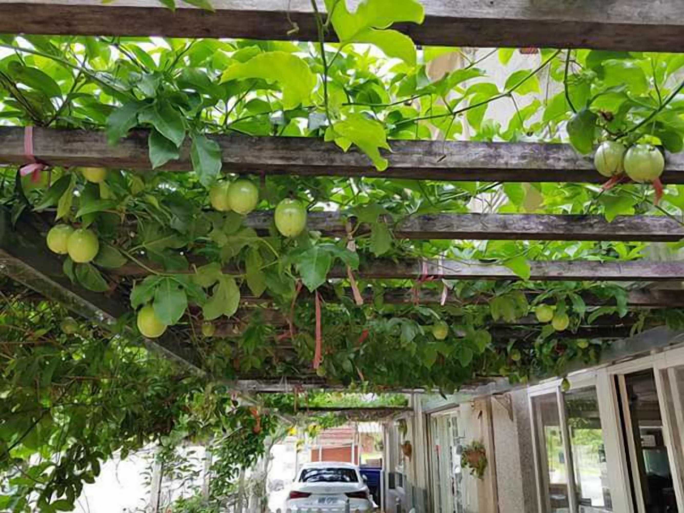 Gift card for Shuanghui Garden B&b