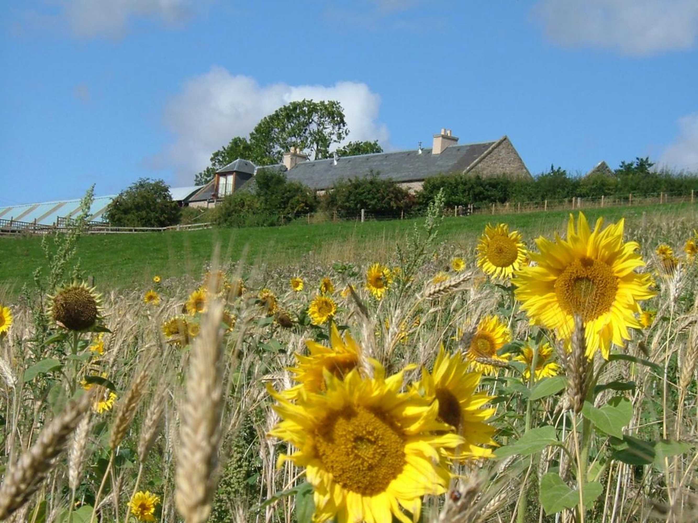 Gift card for Plumtree Cottage