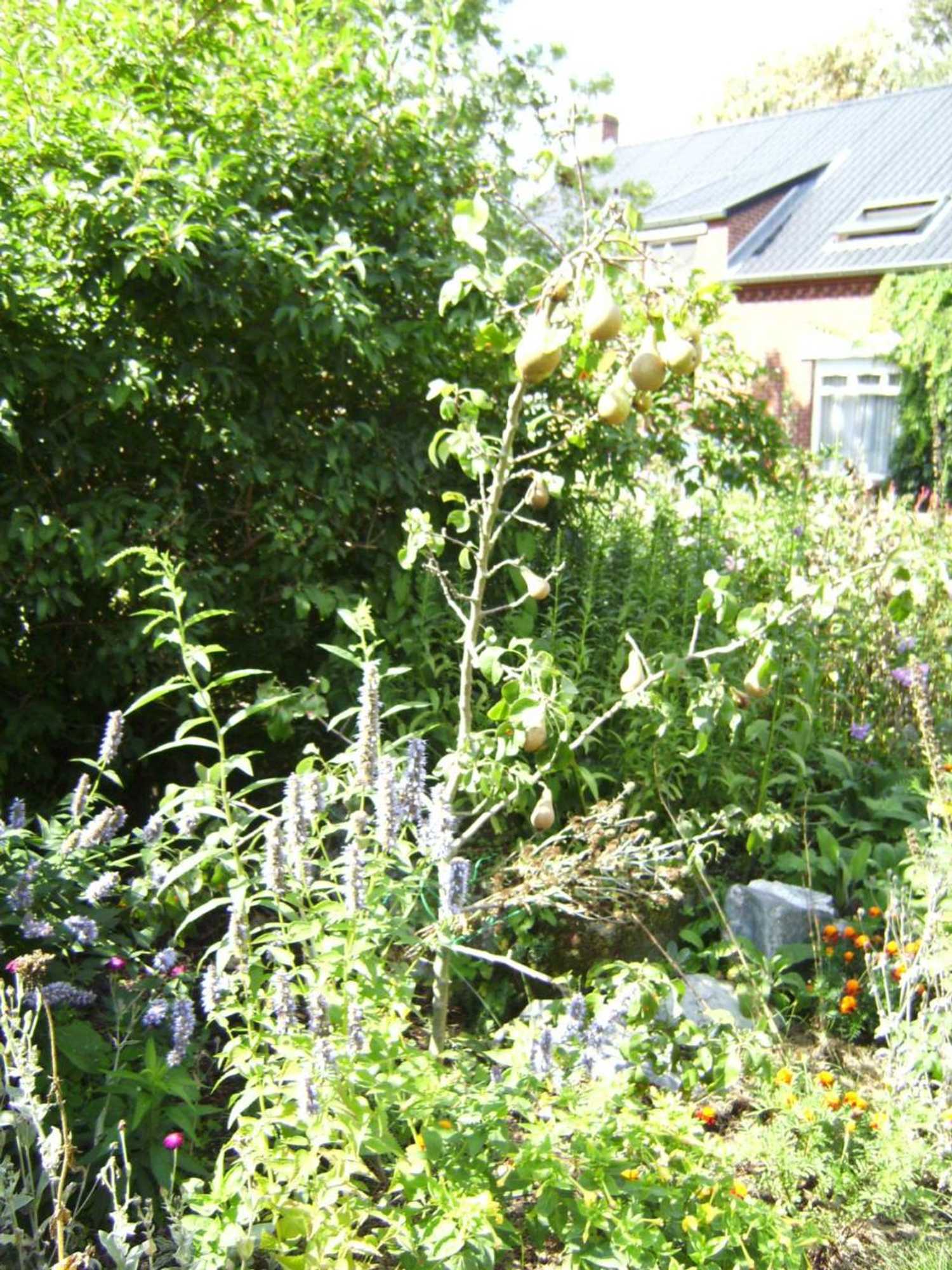 Gift card for B&b Het Uilennest