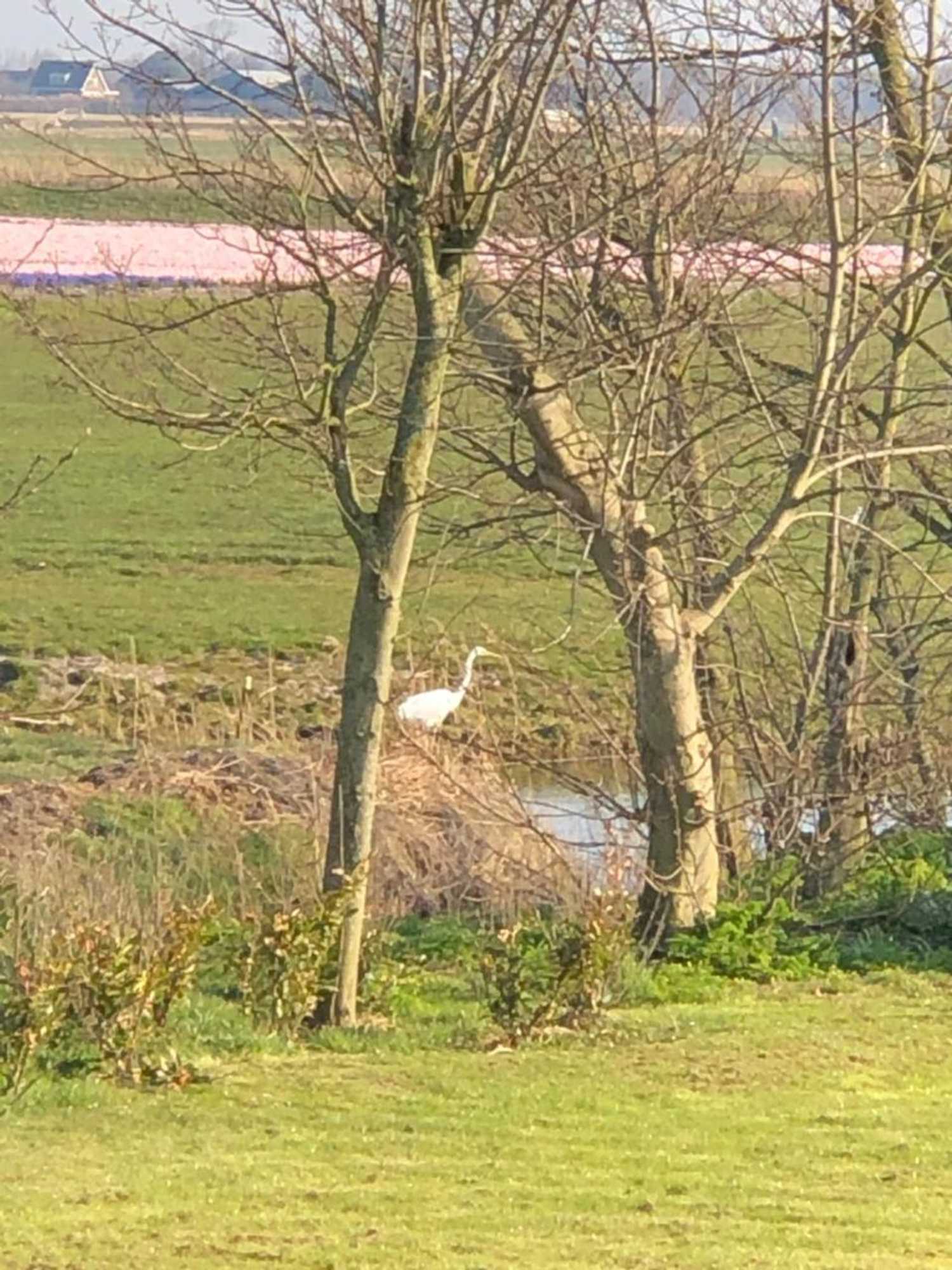 Gift card for Vakantiewoning Vrijburg