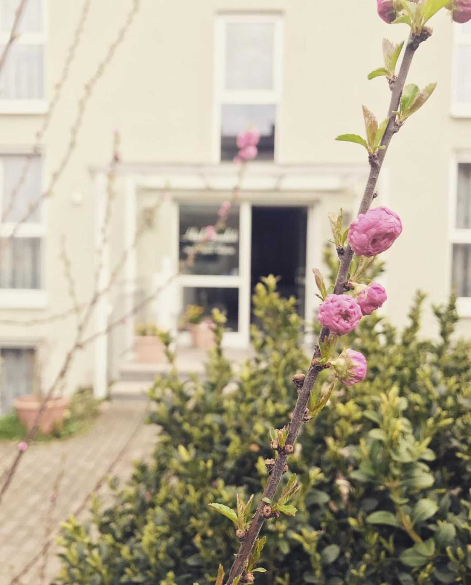 Gift card for Hotel Gramlich