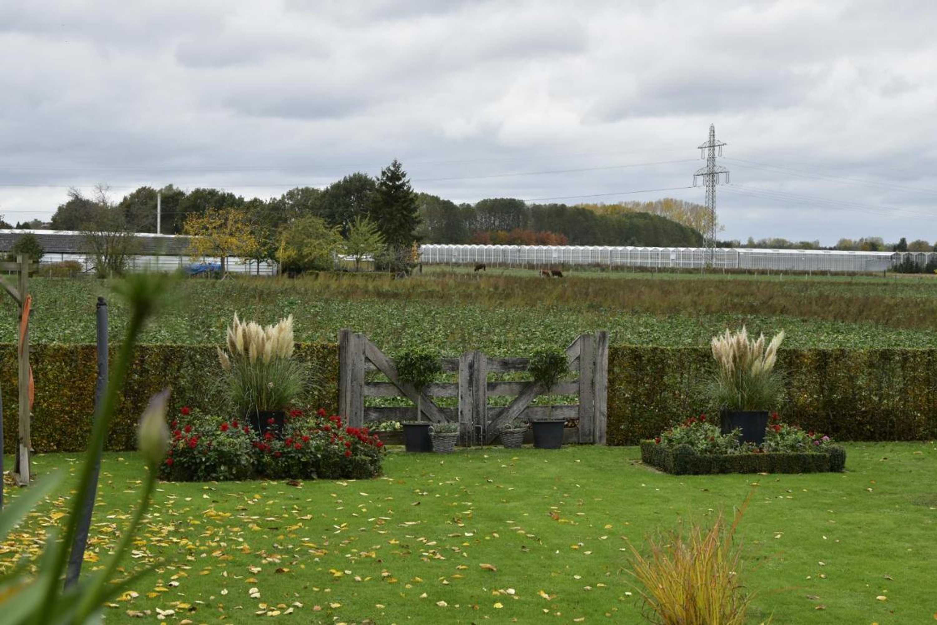 Gift card for B&b De Rozenhorst