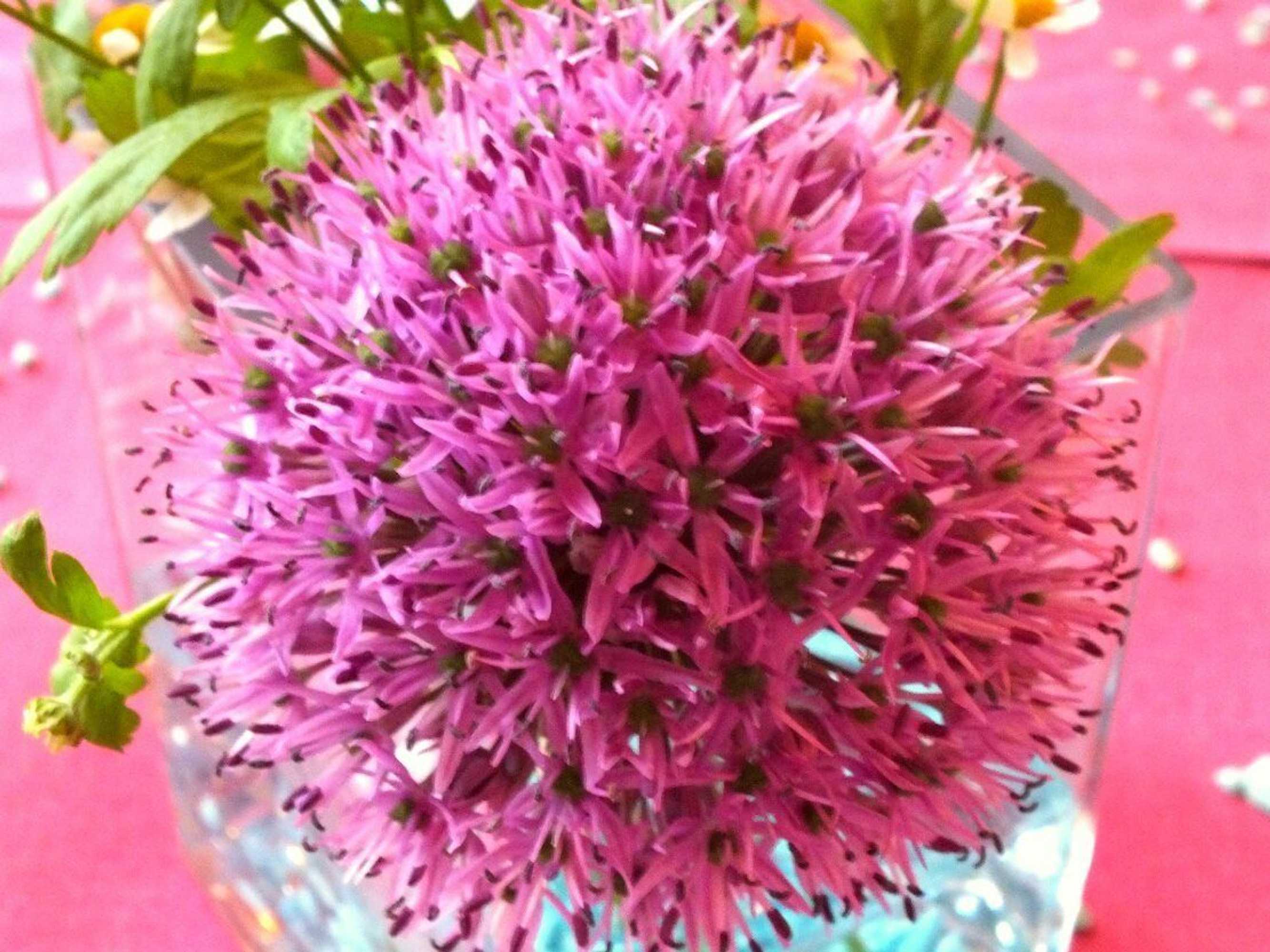 Gift card for Lüthemühle