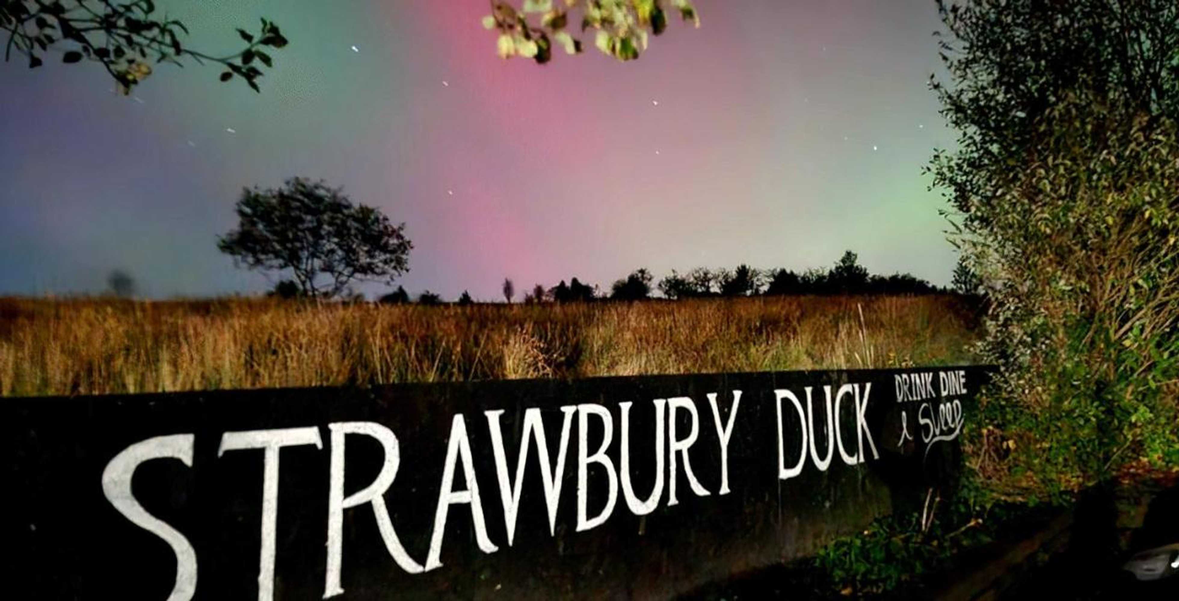 Gift card for The Strawbury Duck Inn