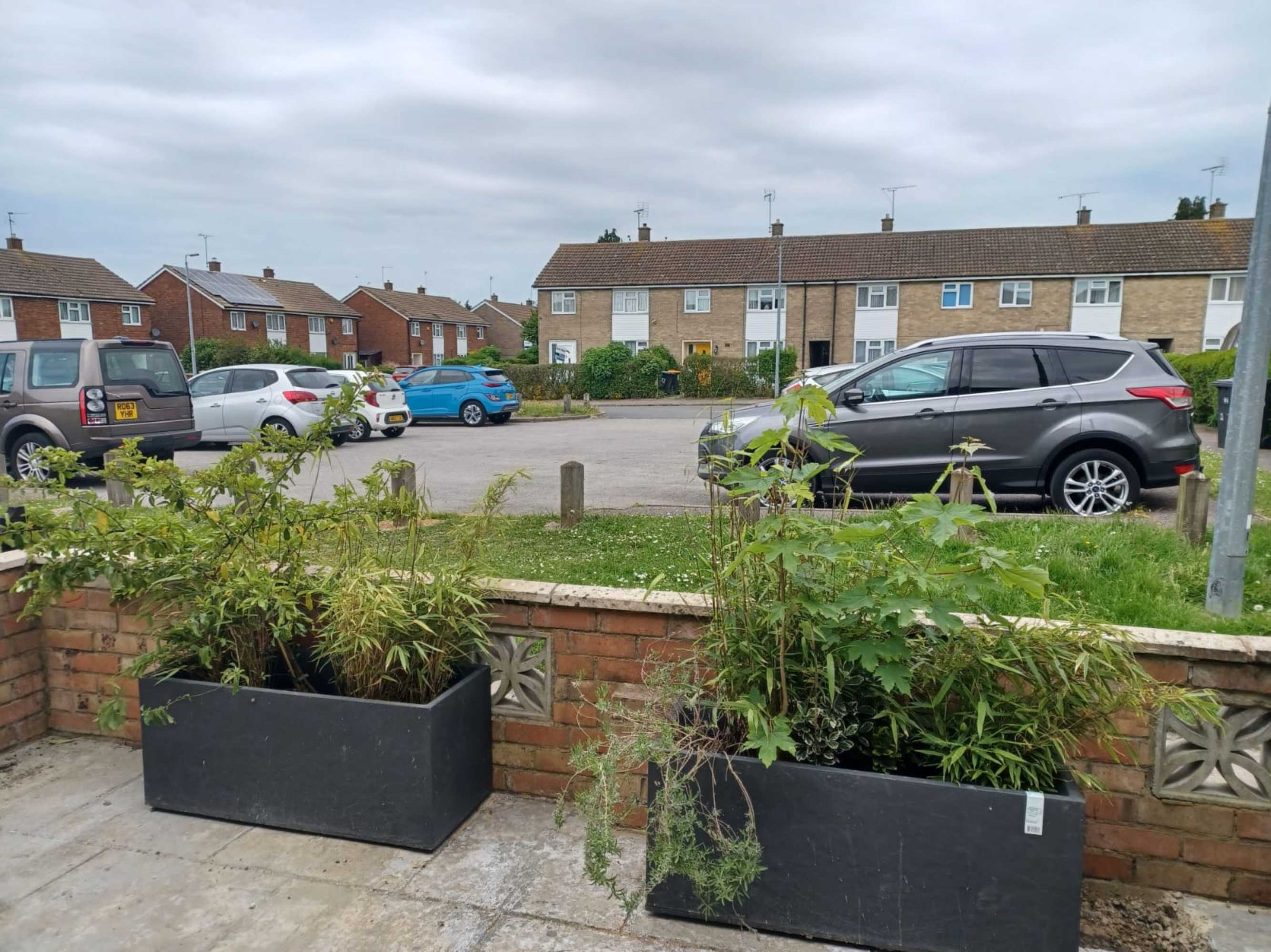 Gift card for Melo House Grove Huku Kwetu